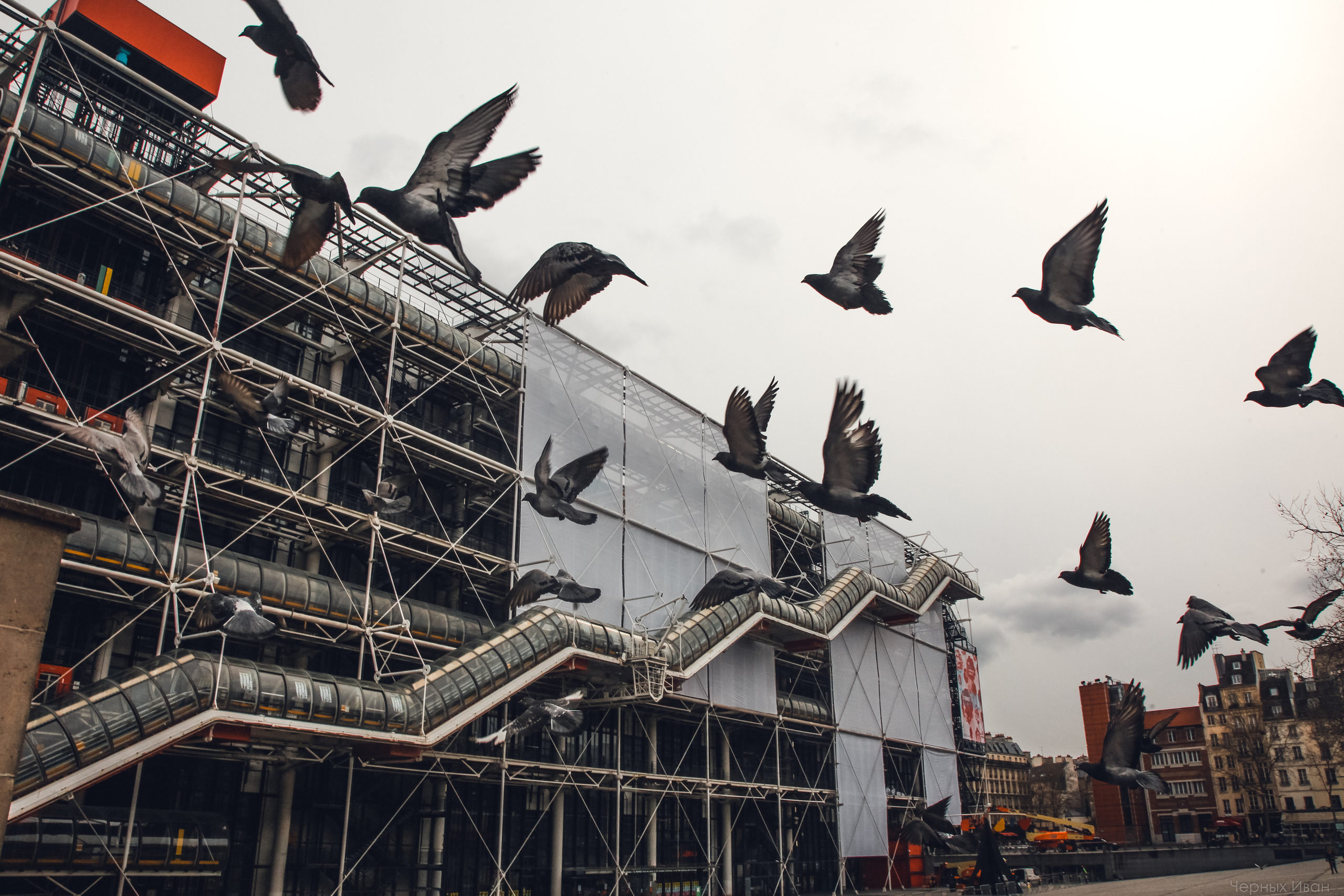 ФРАНЦИЯ. Стрит-фотография, полная абсурда, идиотизма и красоты