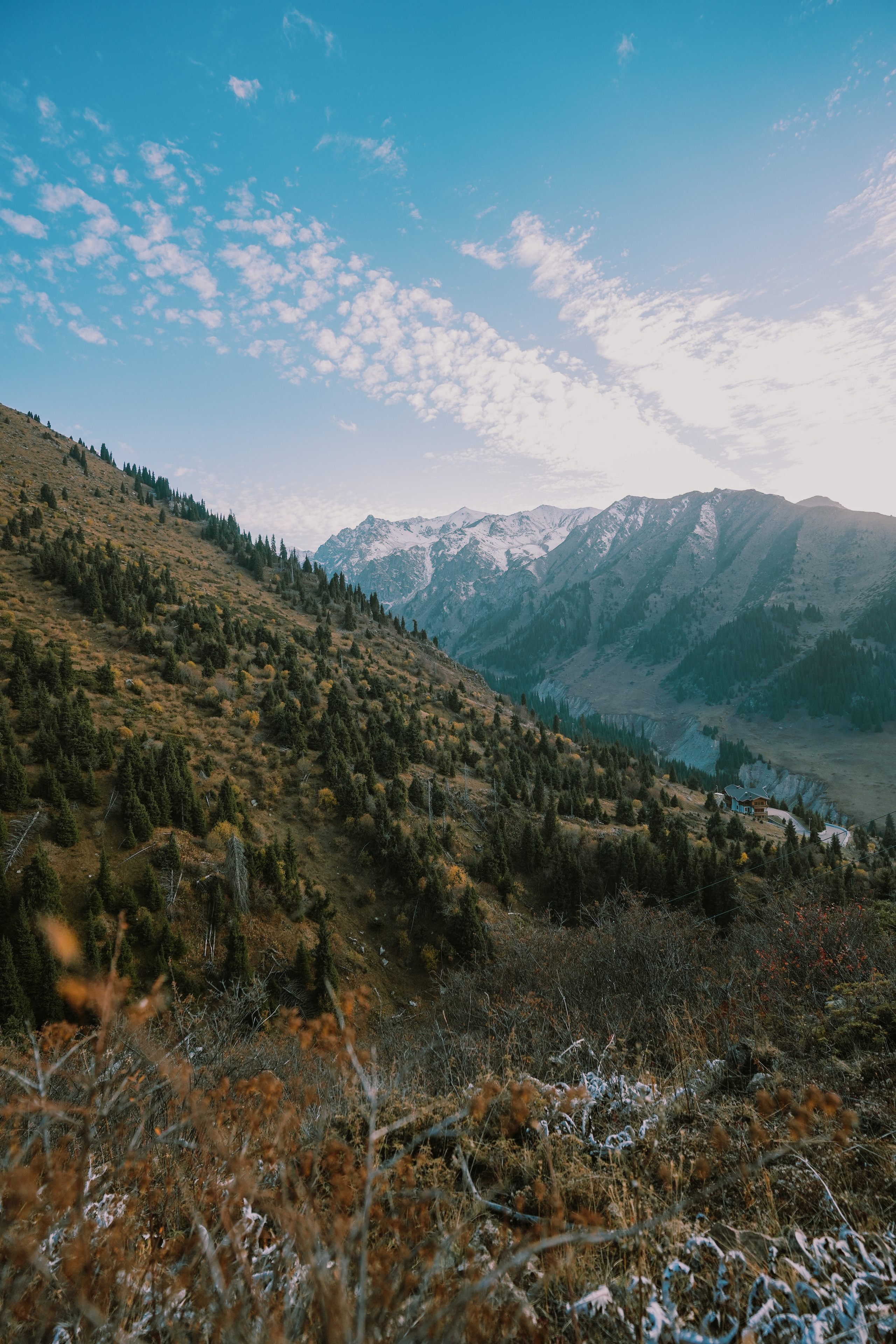 КАЗАХСТАН. Стрит-фотография, полная абсурда, идиотизма и красоты