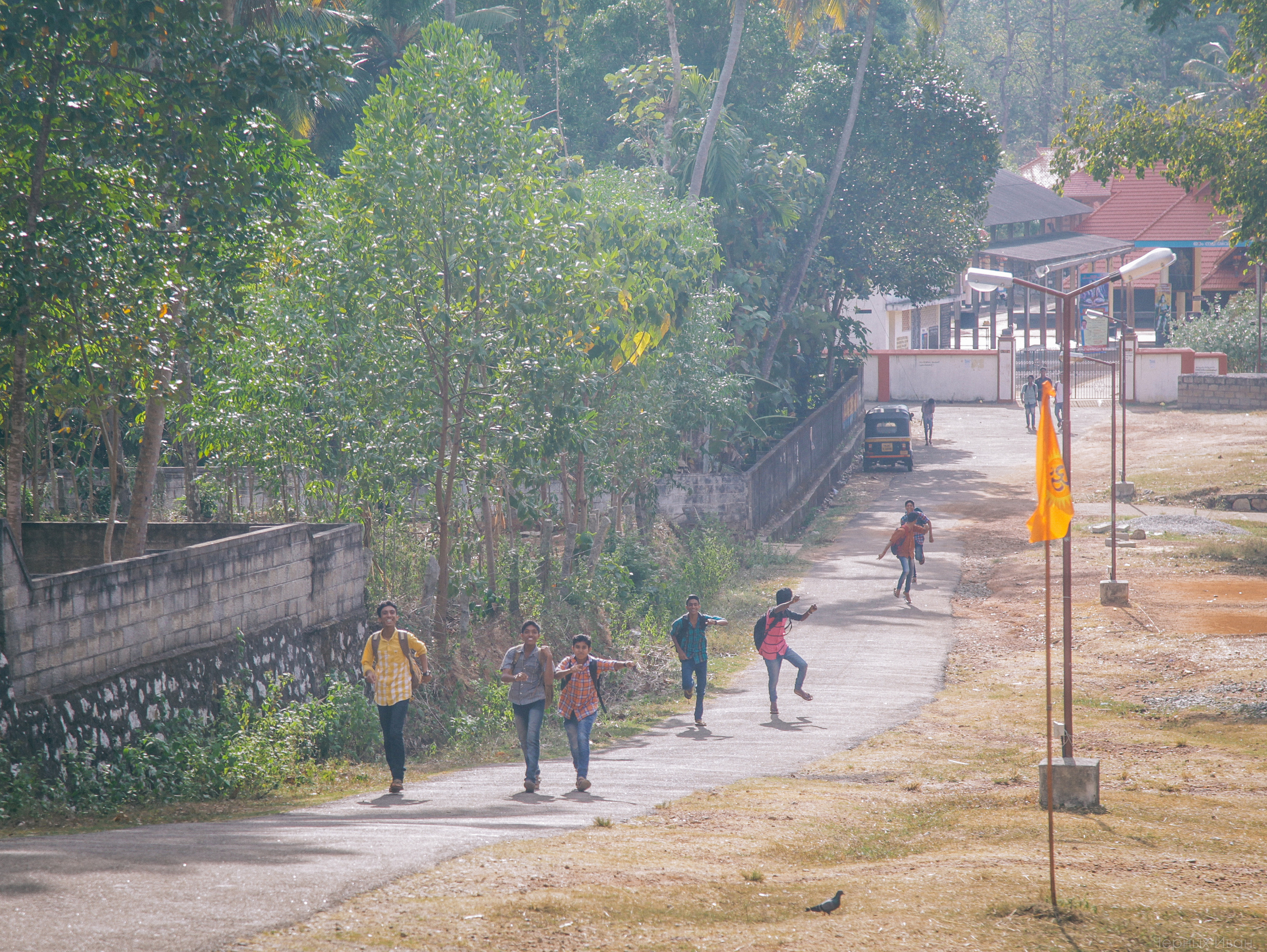ИНДИЯ 2015. Стрит-фотография, полная абсурда, идиотизма и красоты