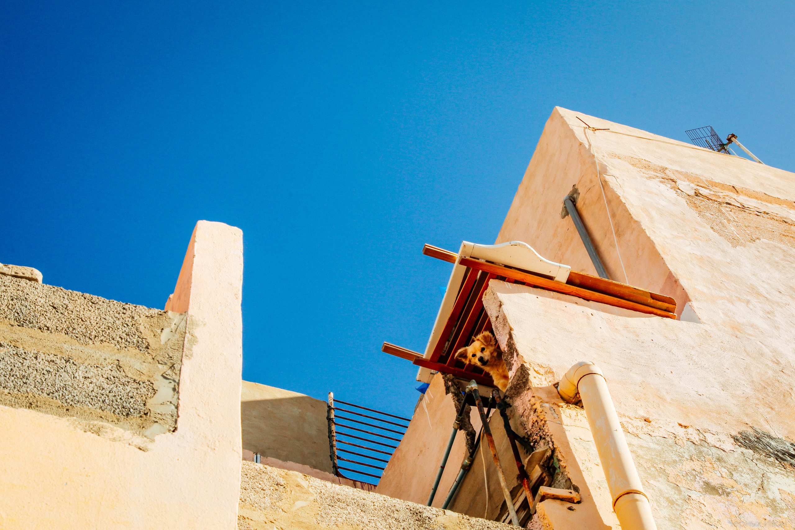 ИСПАНИЯ. Стрит-фотография, полная абсурда, идиотизма и красоты