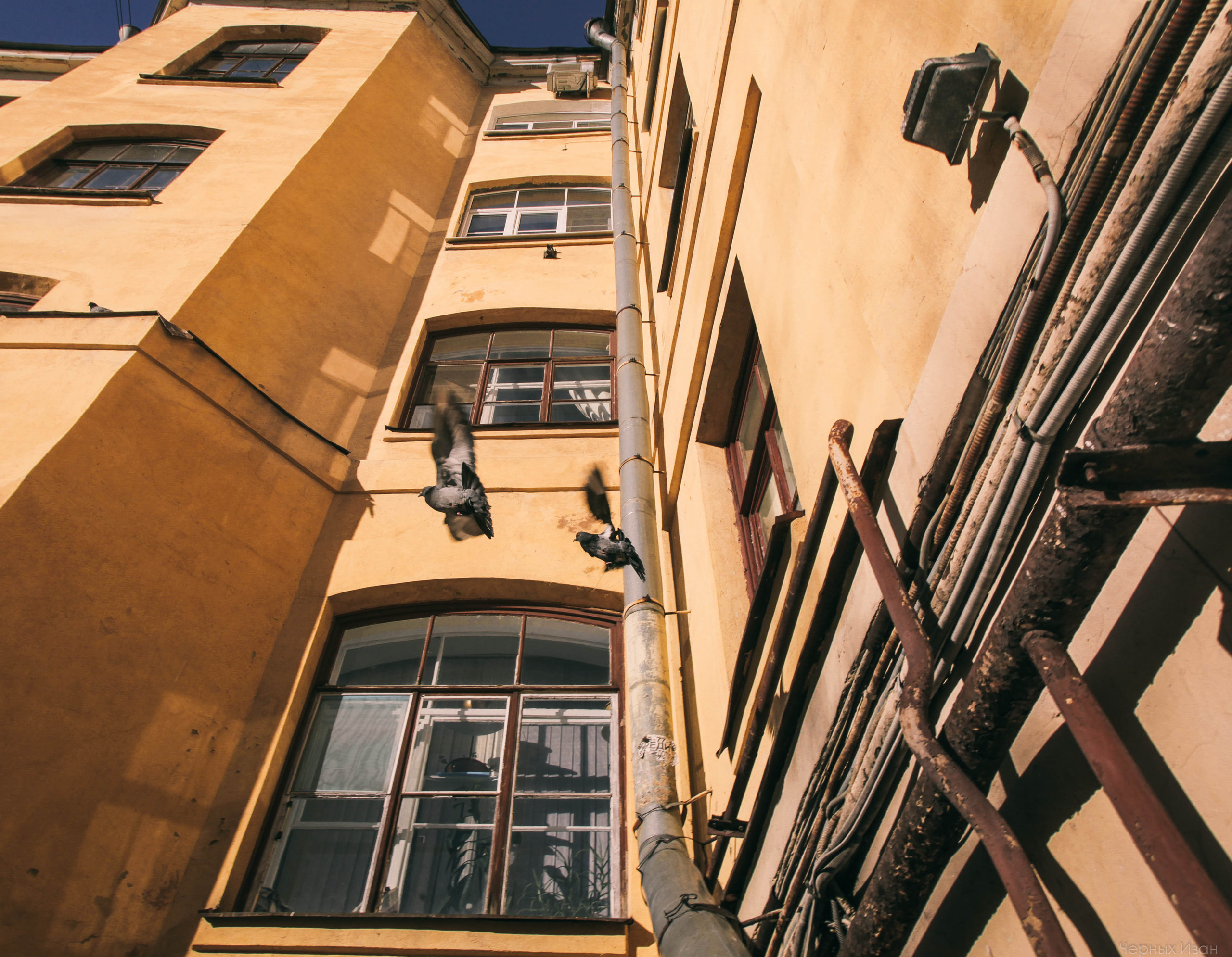 2015. Стрит-фотография, полная абсурда, идиотизма и красоты