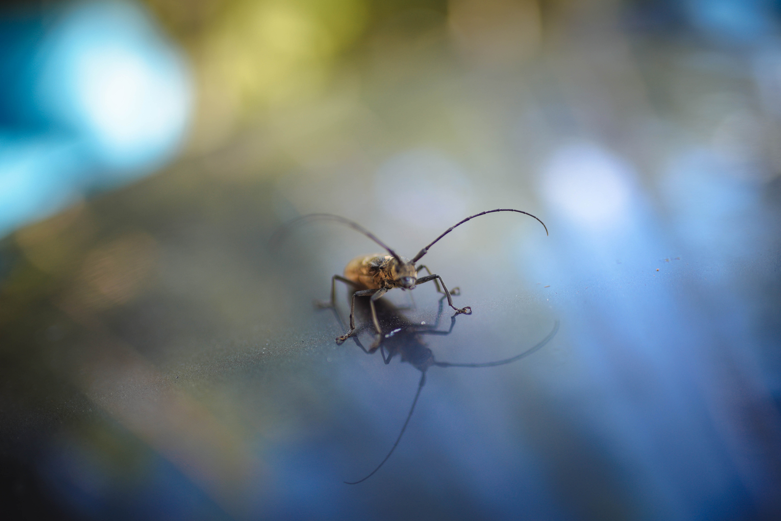 2022. Стрит-фотография, полная абсурда, идиотизма и красоты