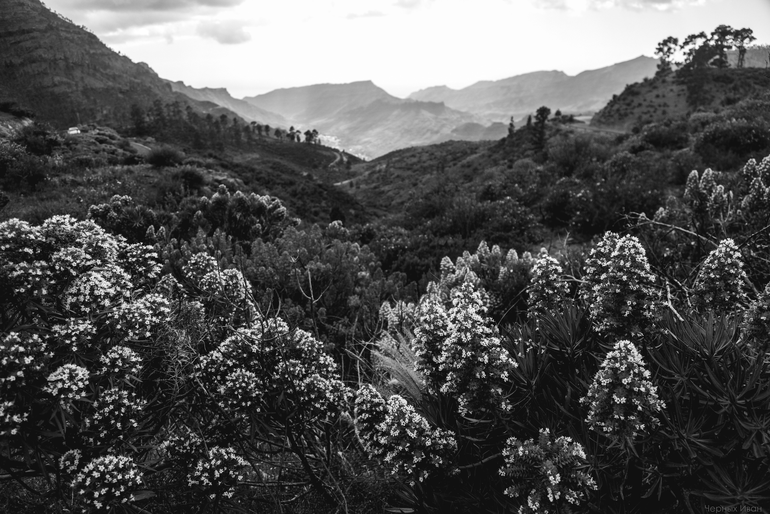 ПЕЙЗАЖИ. Стрит-фотография, полная абсурда, идиотизма и красоты