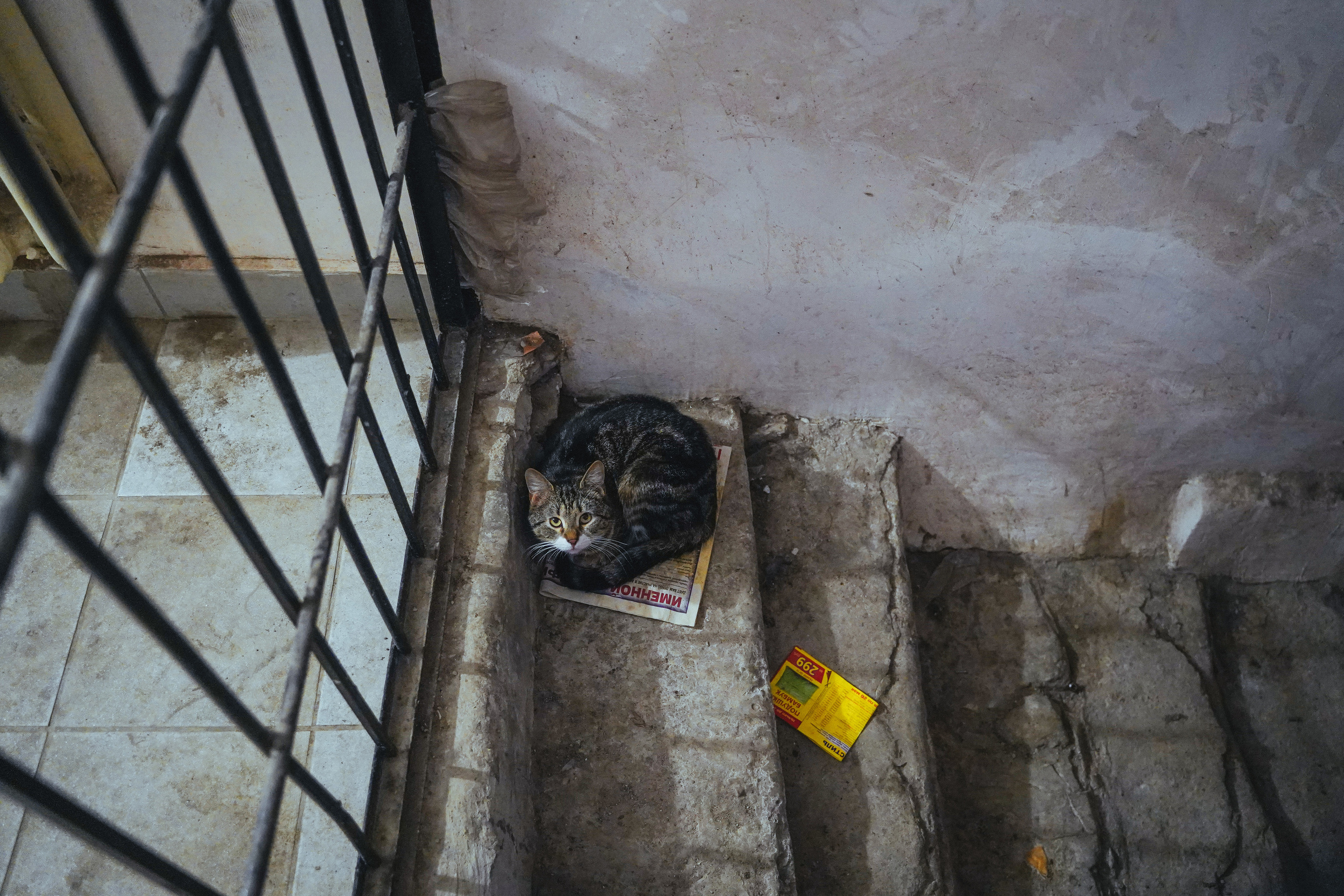 2019. Стрит-фотография, полная абсурда, идиотизма и красоты