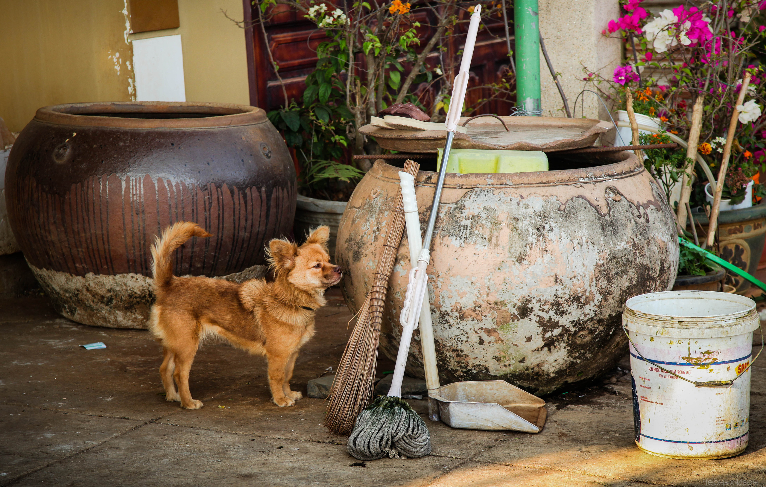 ВЬЕТНАМ. Стрит-фотография, полная абсурда, идиотизма и красоты