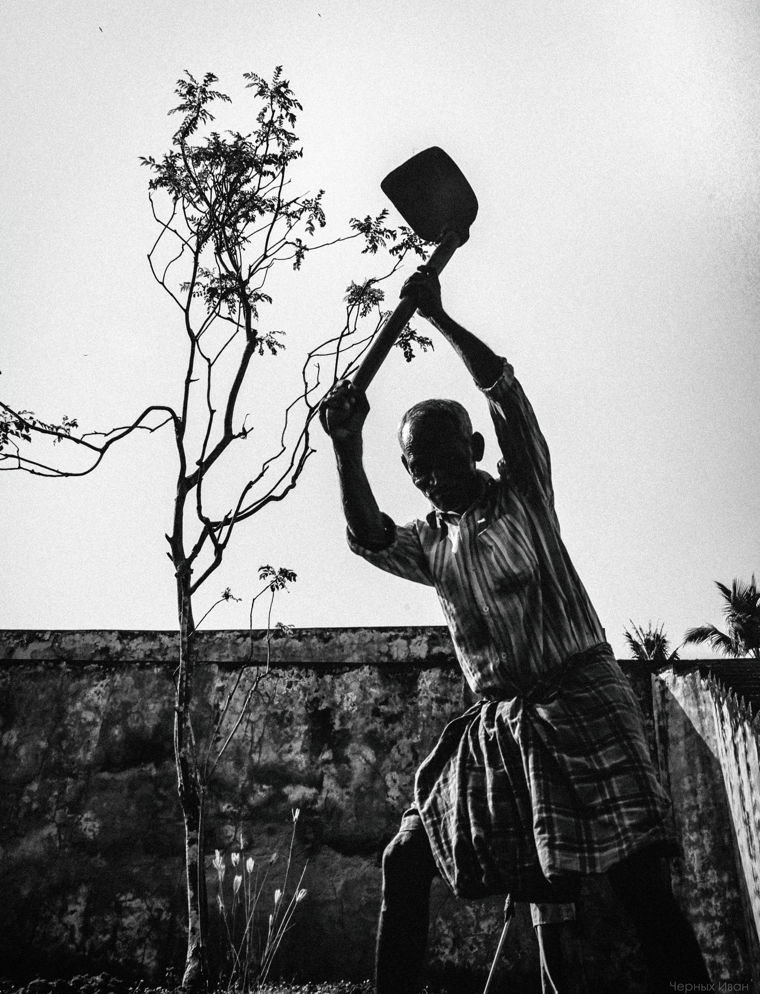 ИНДИЯ 2015. Стрит-фотография, полная абсурда, идиотизма и красоты