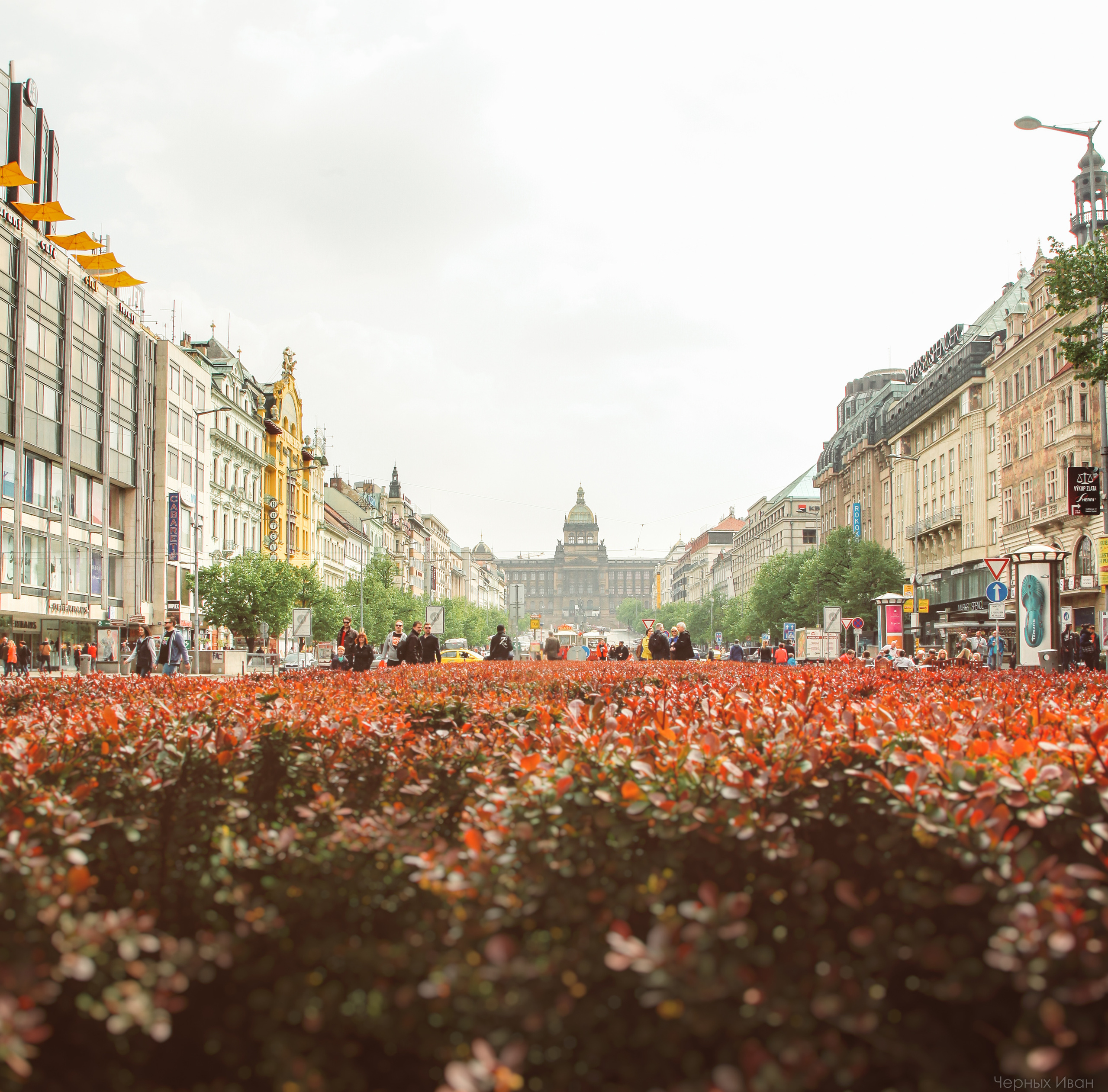 ЧЕХИЯ. Стрит-фотография, полная абсурда, идиотизма и красоты