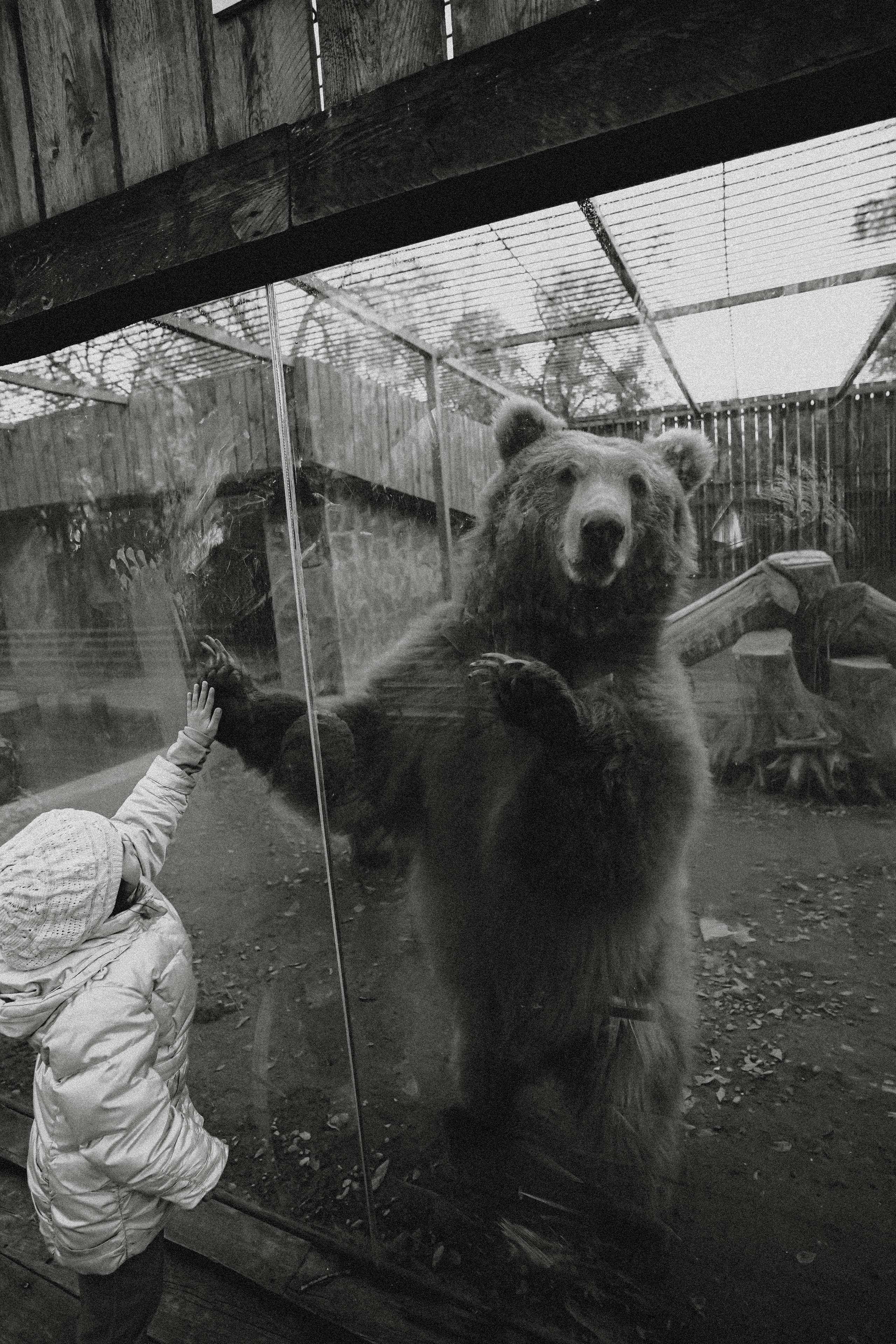 КАЗАХСТАН. Стрит-фотография, полная абсурда, идиотизма и красоты