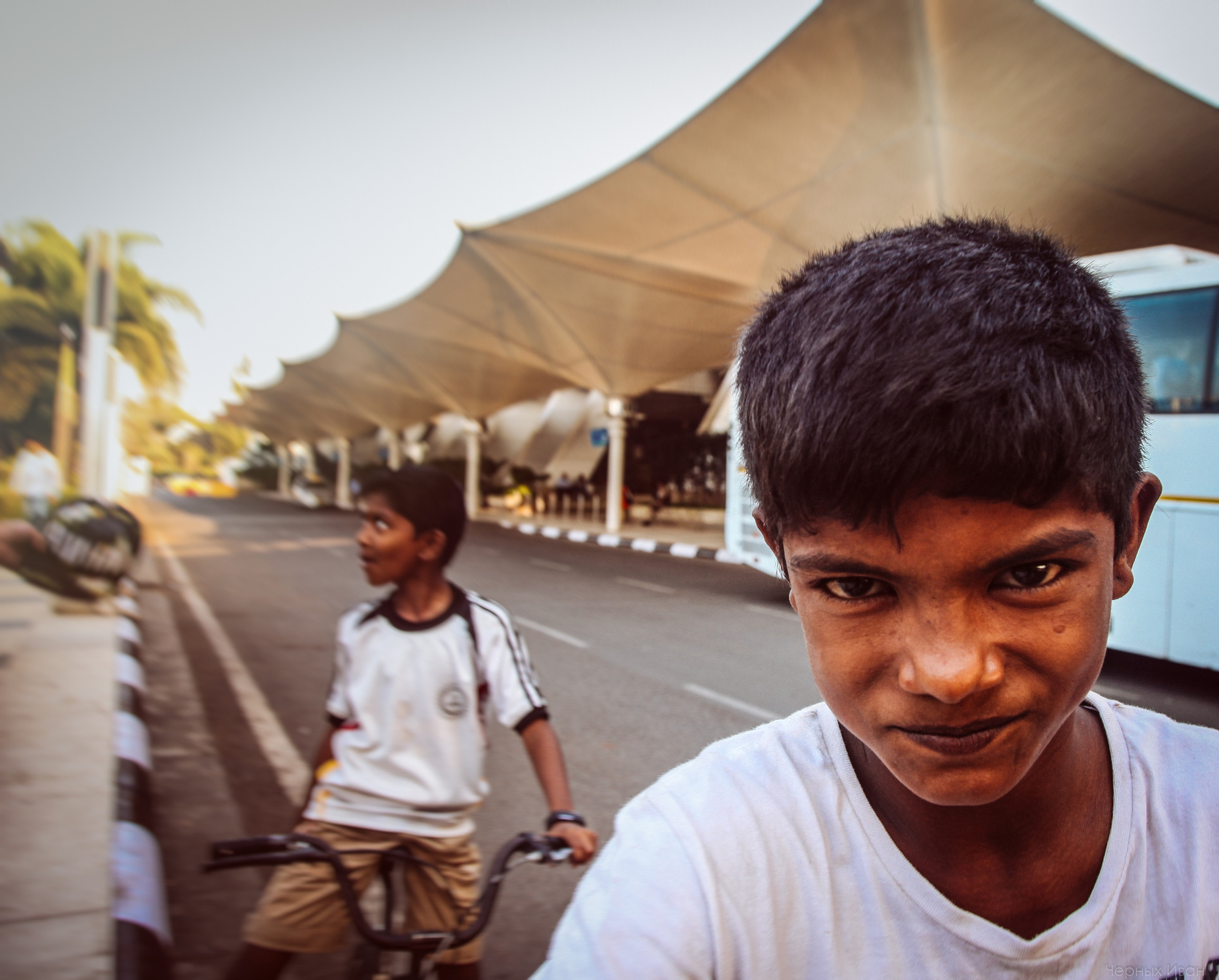 ИНДИЯ 2015. Стрит-фотография, полная абсурда, идиотизма и красоты