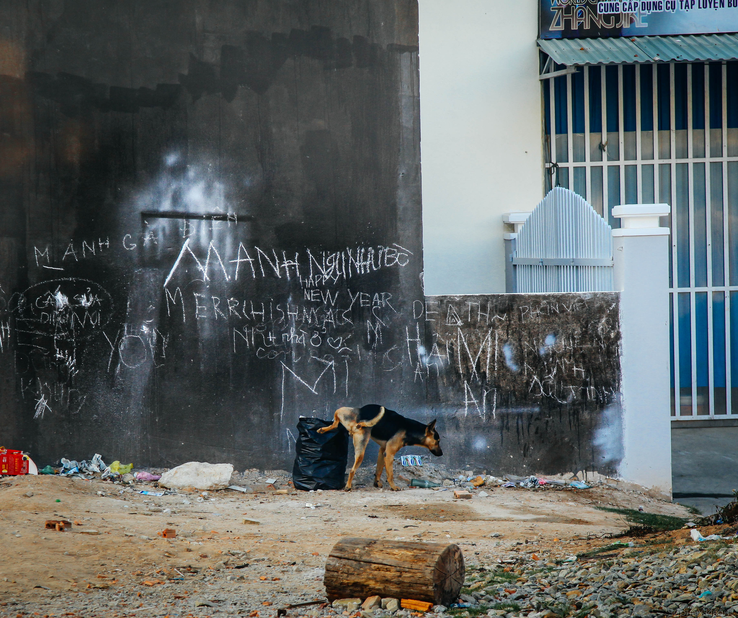 BEST OF. Стрит-фотография, полная абсурда, идиотизма и красоты