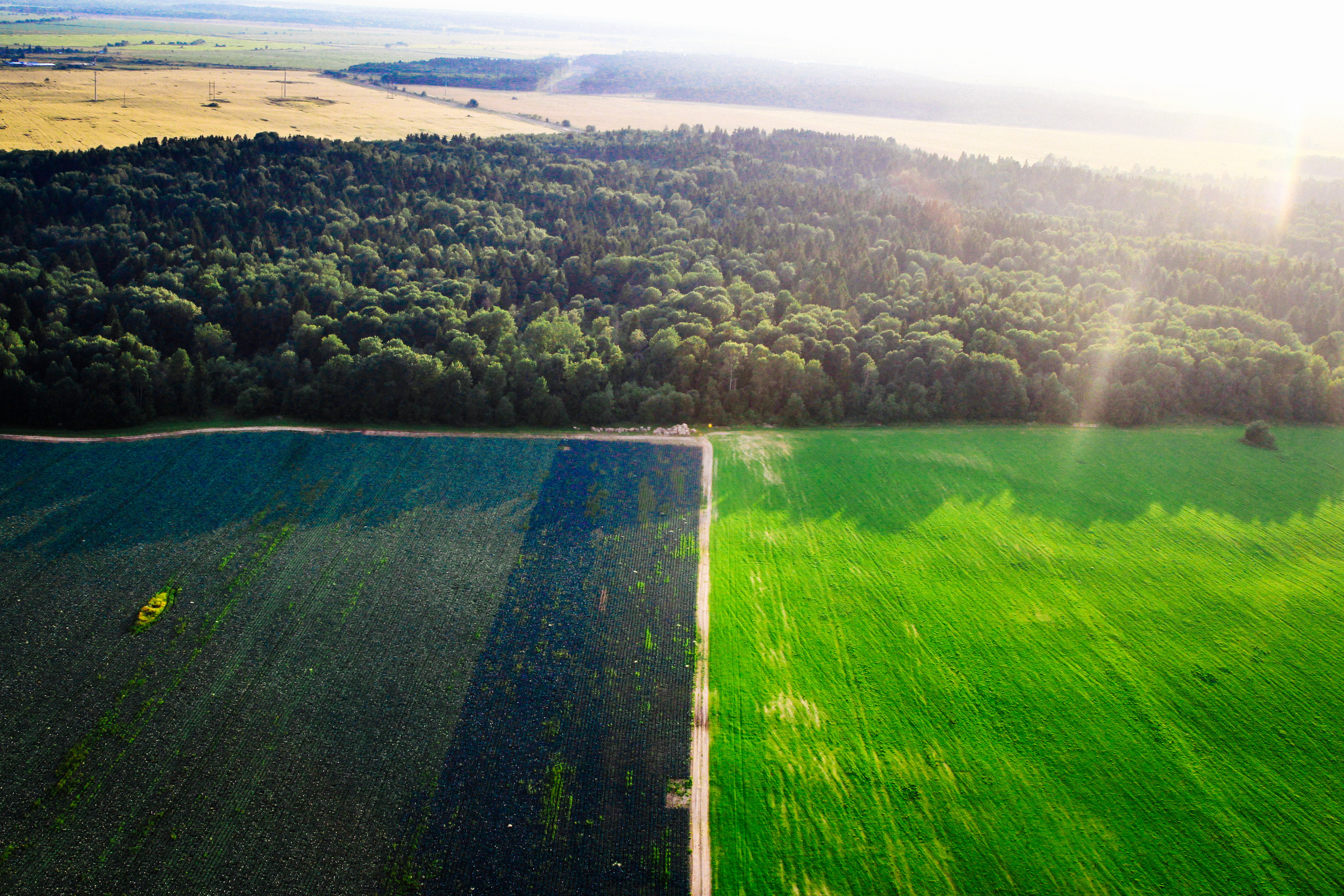 2017. Стрит-фотография, полная абсурда, идиотизма и красоты