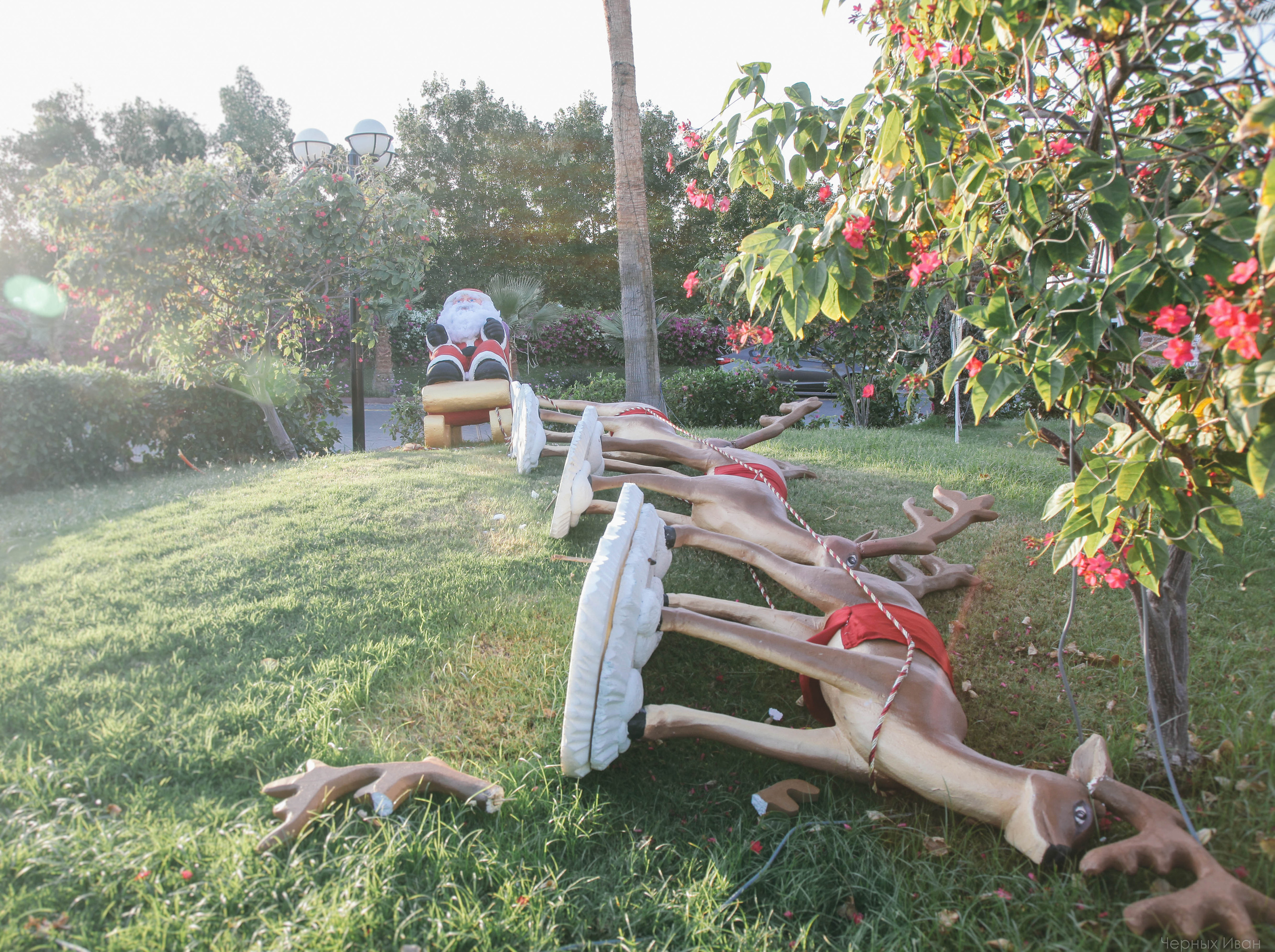 ЕГИПЕТ. Стрит-фотография, полная абсурда, идиотизма и красоты