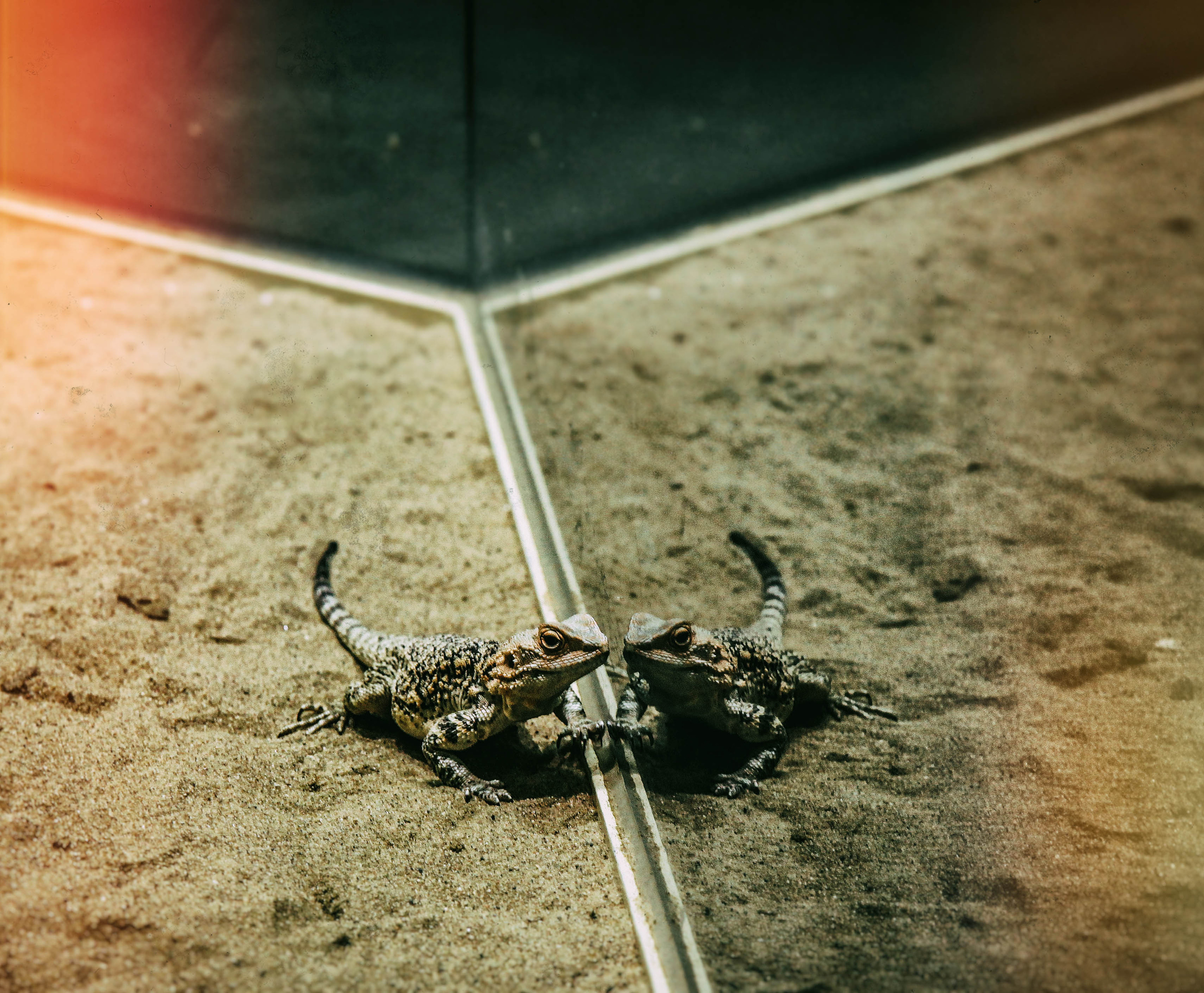 ЧЕХИЯ. Стрит-фотография, полная абсурда, идиотизма и красоты