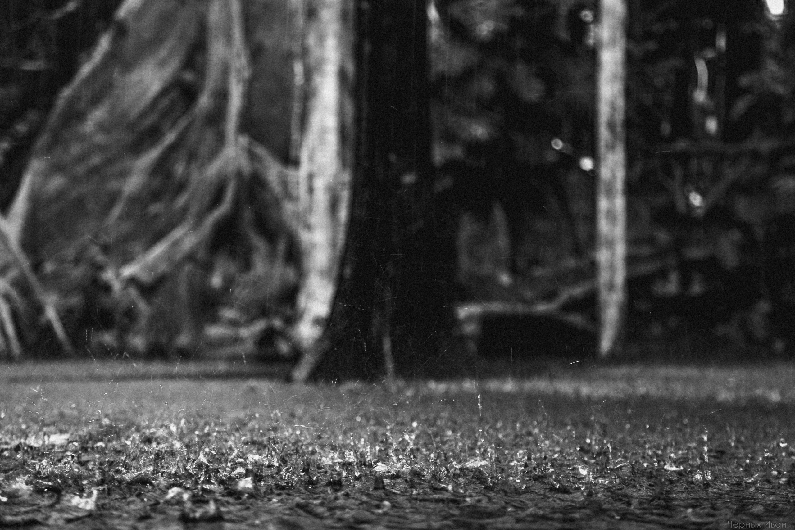 ИСПАНИЯ. Стрит-фотография, полная абсурда, идиотизма и красоты