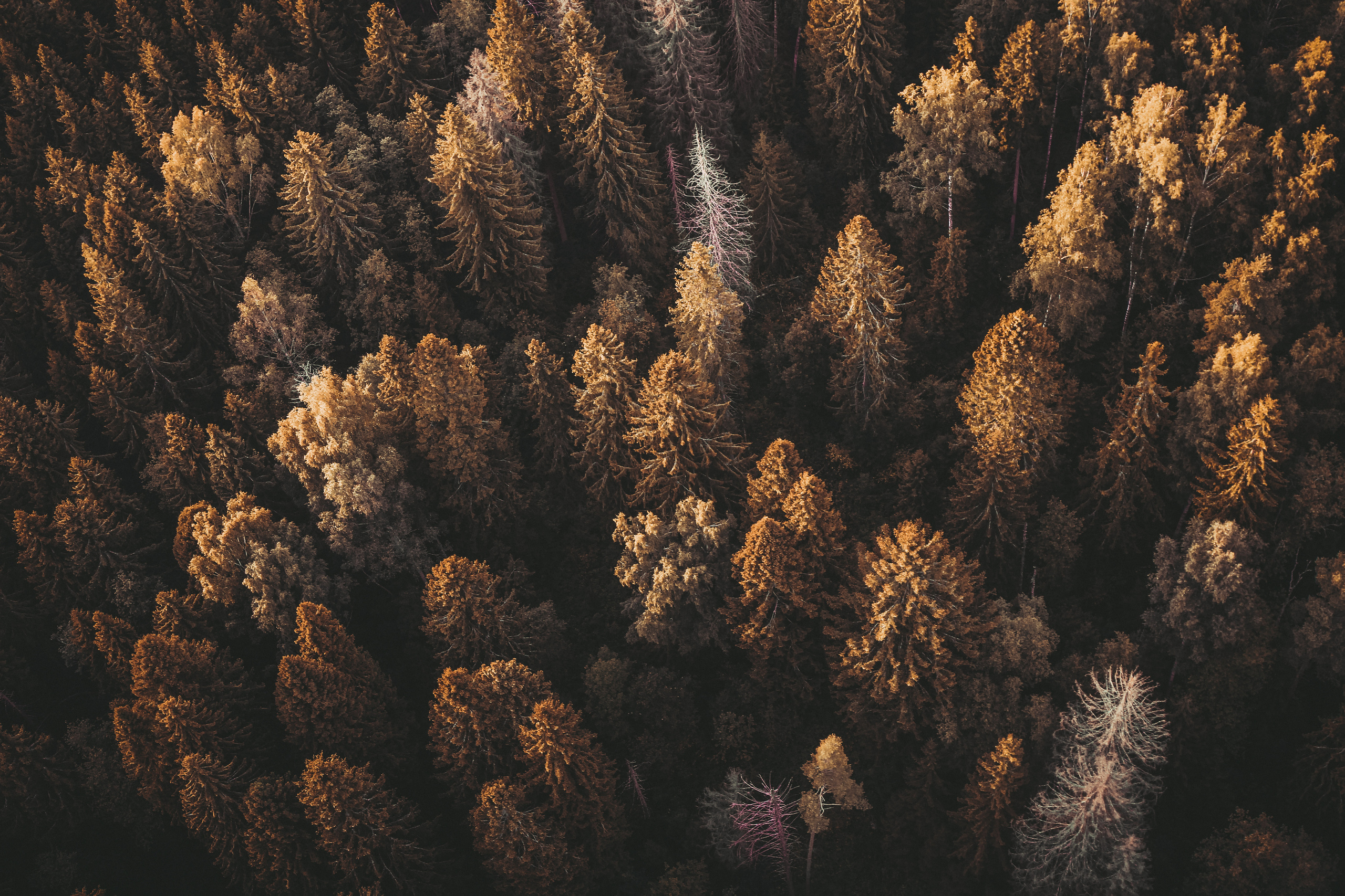 ПЕЙЗАЖИ. Стрит-фотография, полная абсурда, идиотизма и красоты