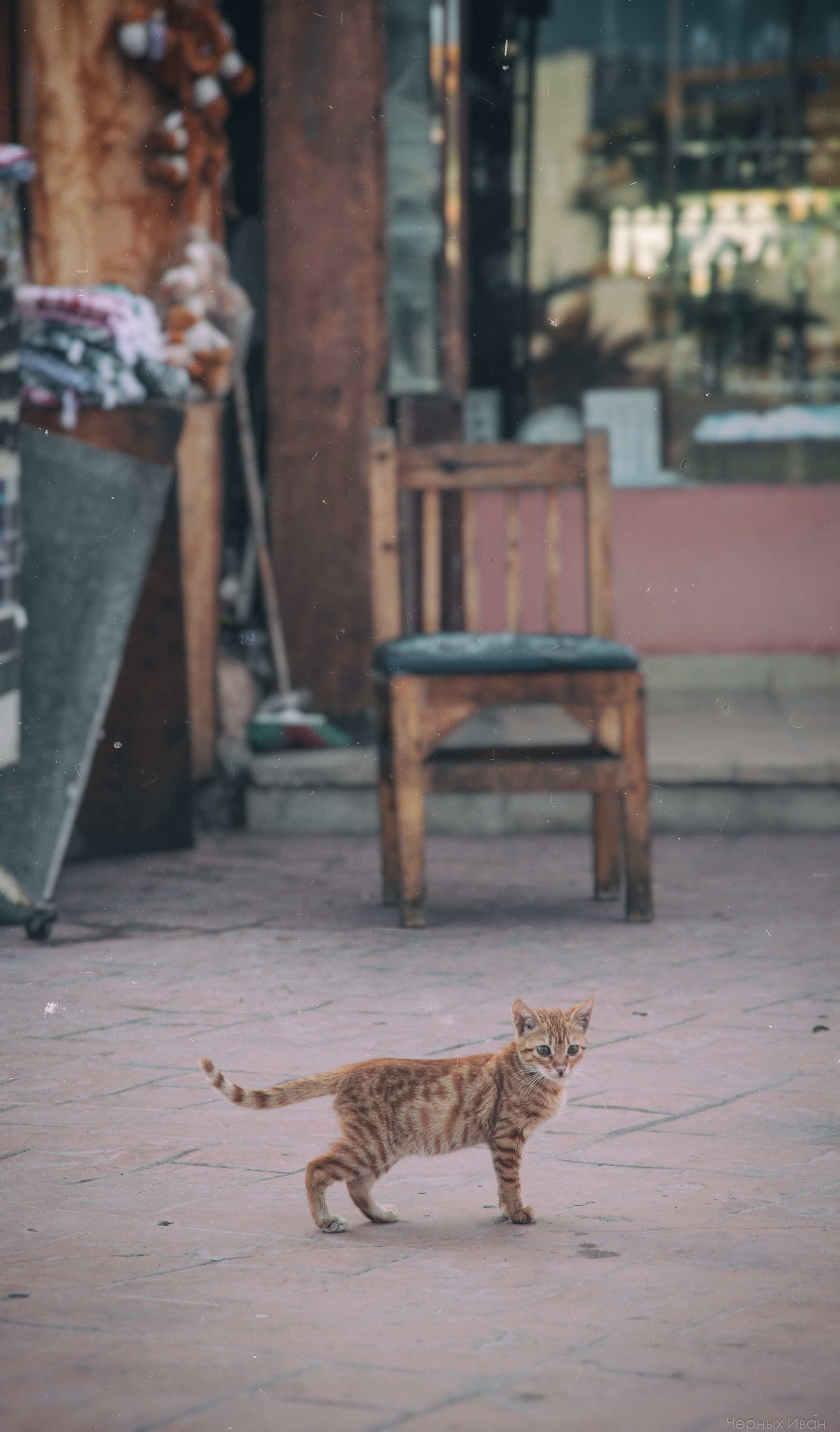 ЕГИПЕТ. Стрит-фотография, полная абсурда, идиотизма и красоты