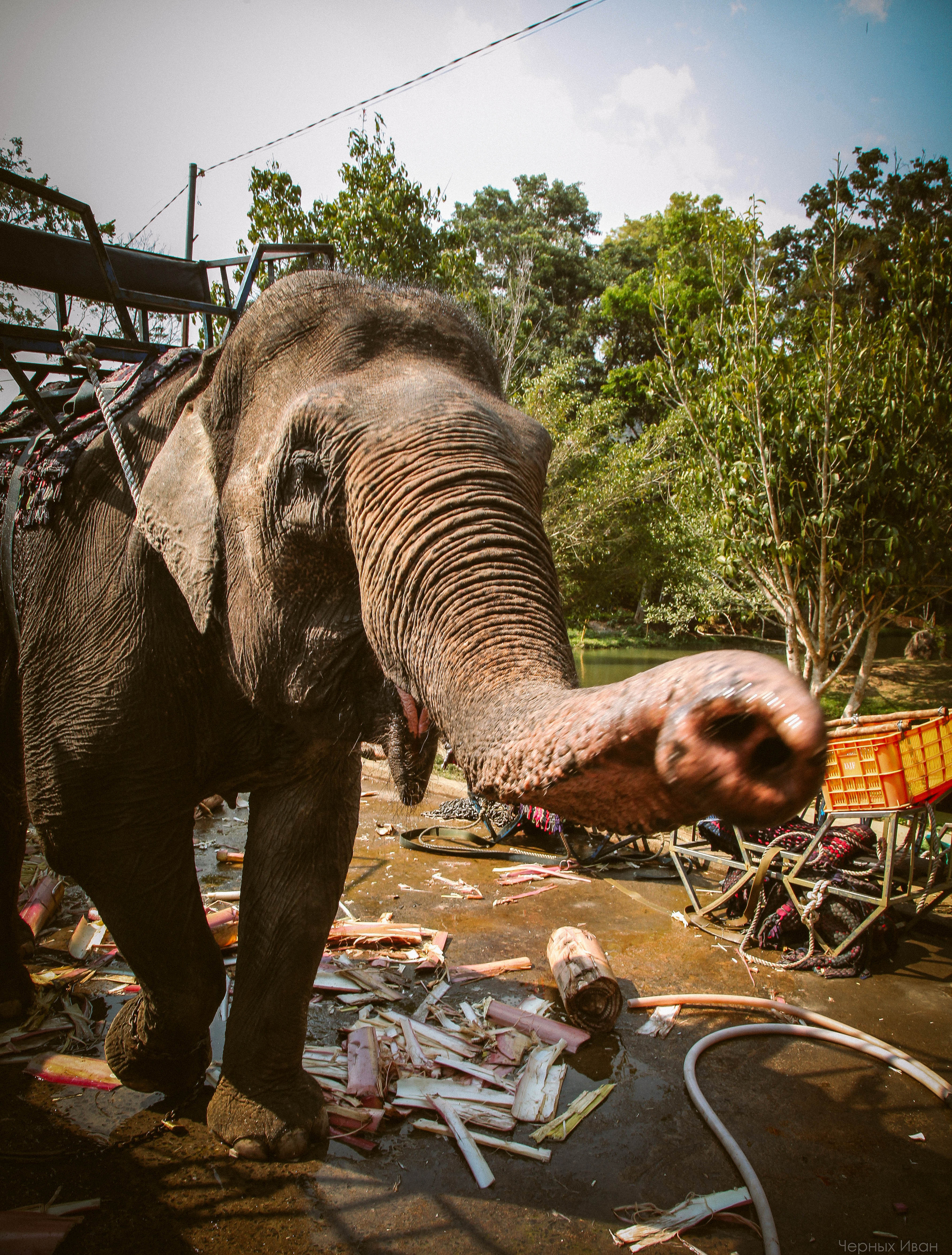 ВЬЕТНАМ. Стрит-фотография, полная абсурда, идиотизма и красоты