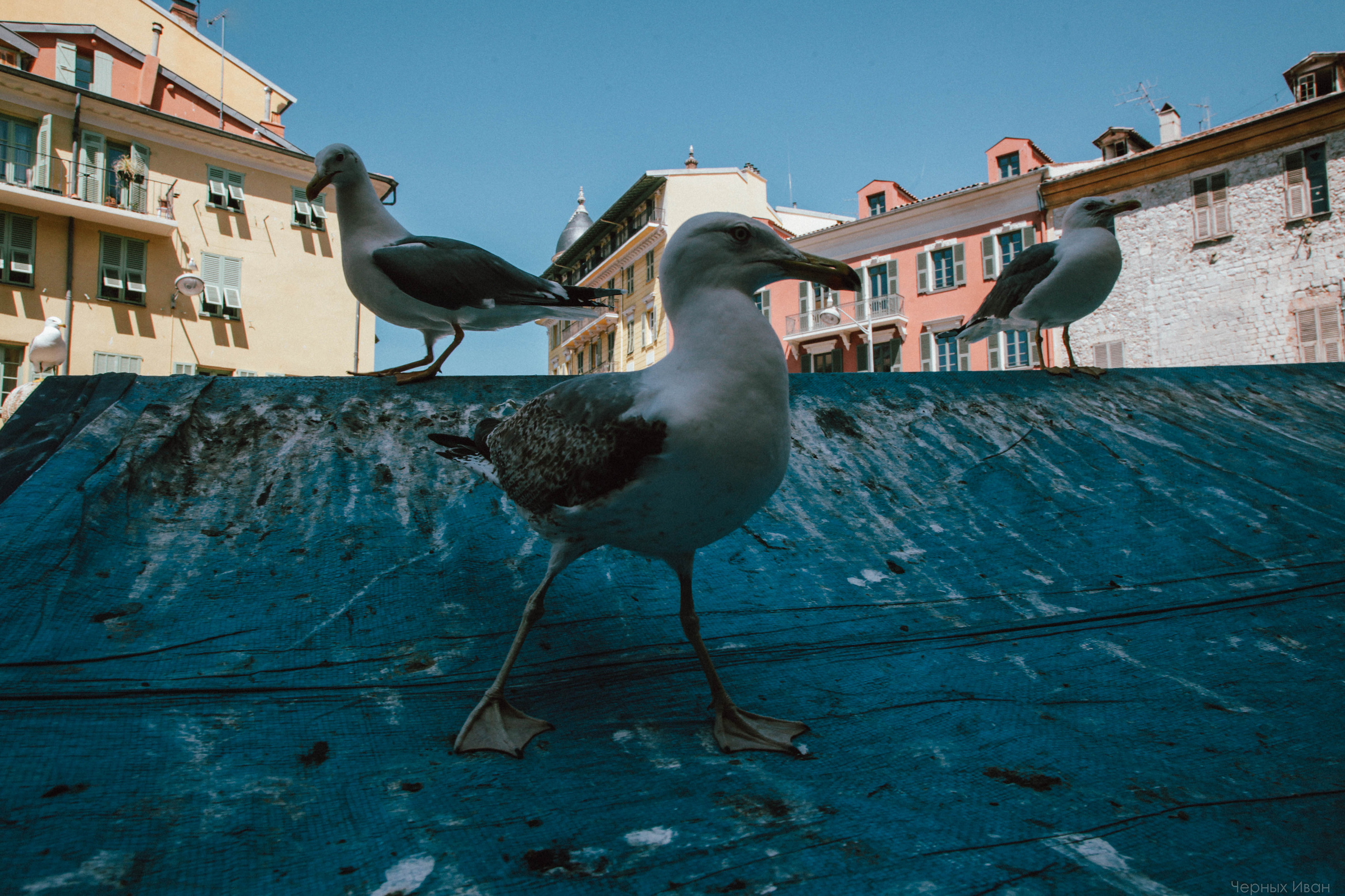 ФРАНЦИЯ. Стрит-фотография, полная абсурда, идиотизма и красоты
