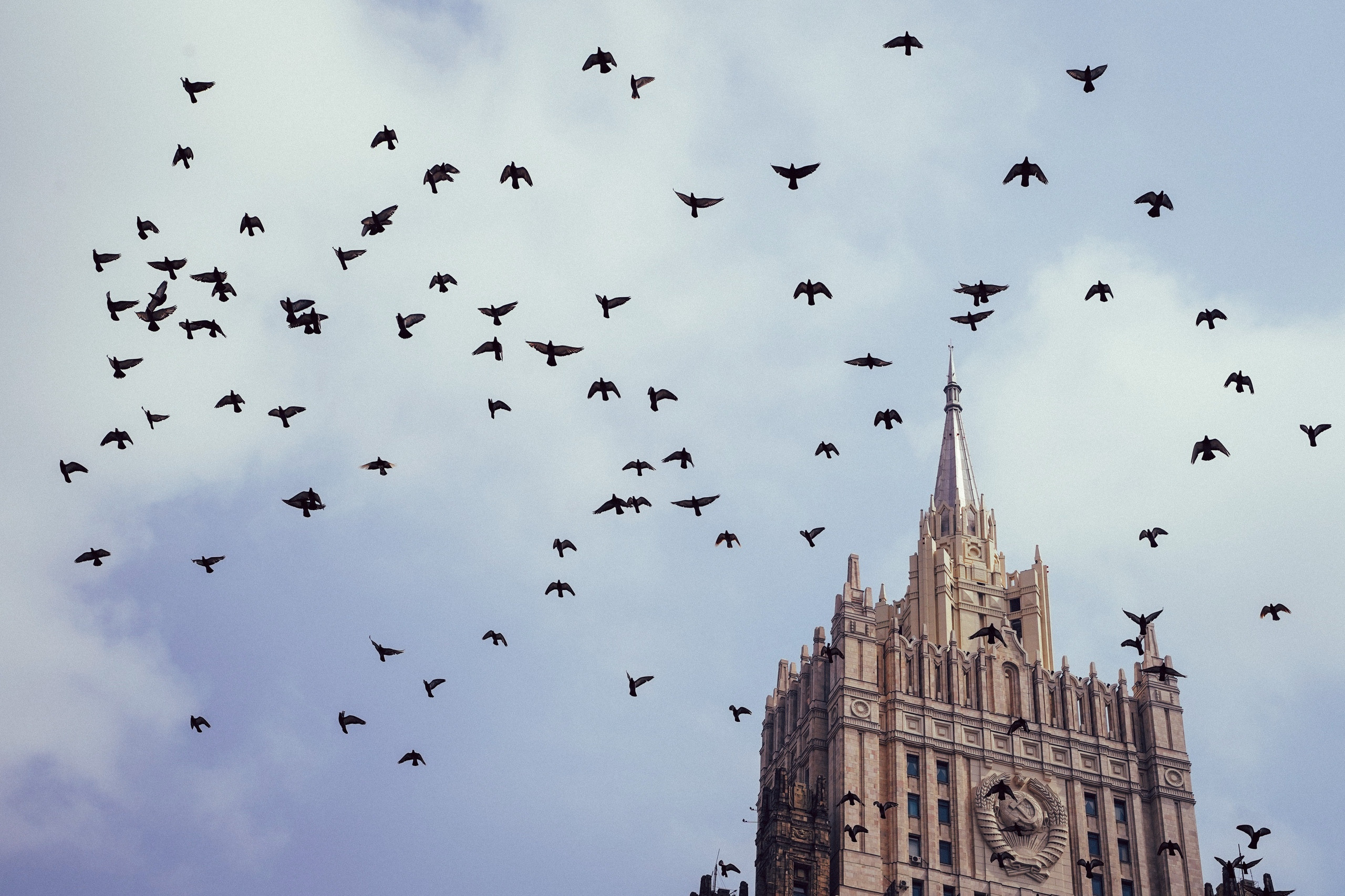 BEST OF. Стрит-фотография, полная абсурда, идиотизма и красоты