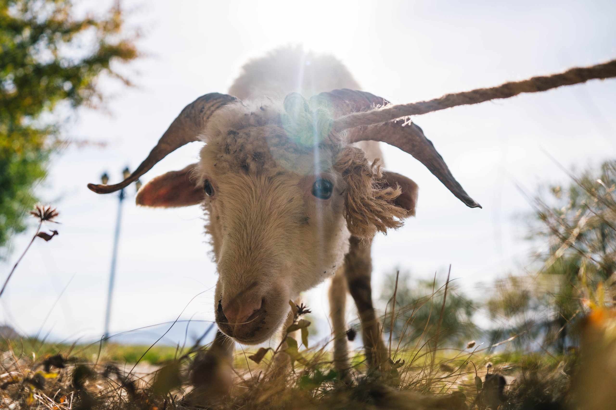 BEST OF. Стрит-фотография, полная абсурда, идиотизма и красоты