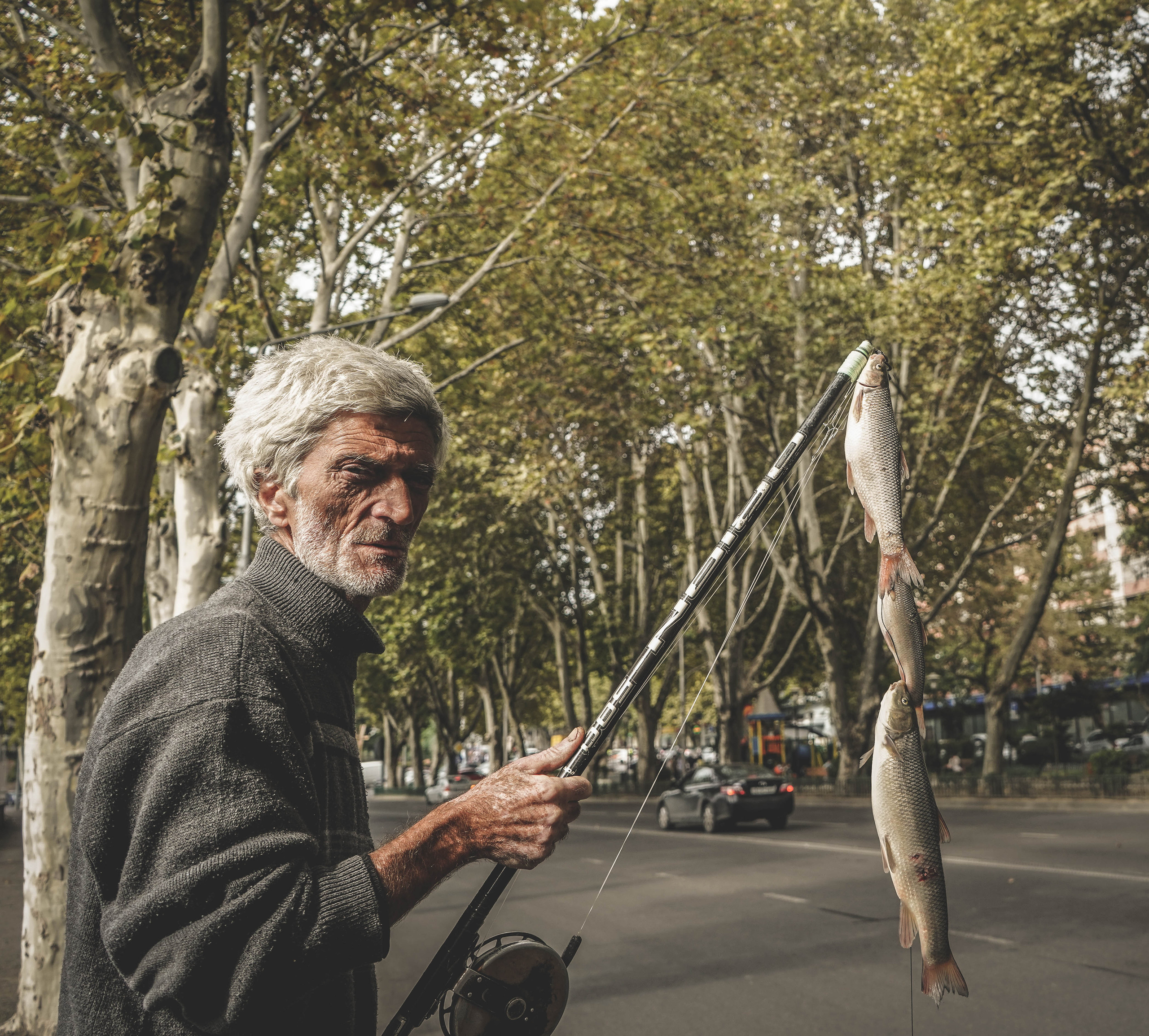 ГРУЗИЯ. Стрит-фотография, полная абсурда, идиотизма и красоты