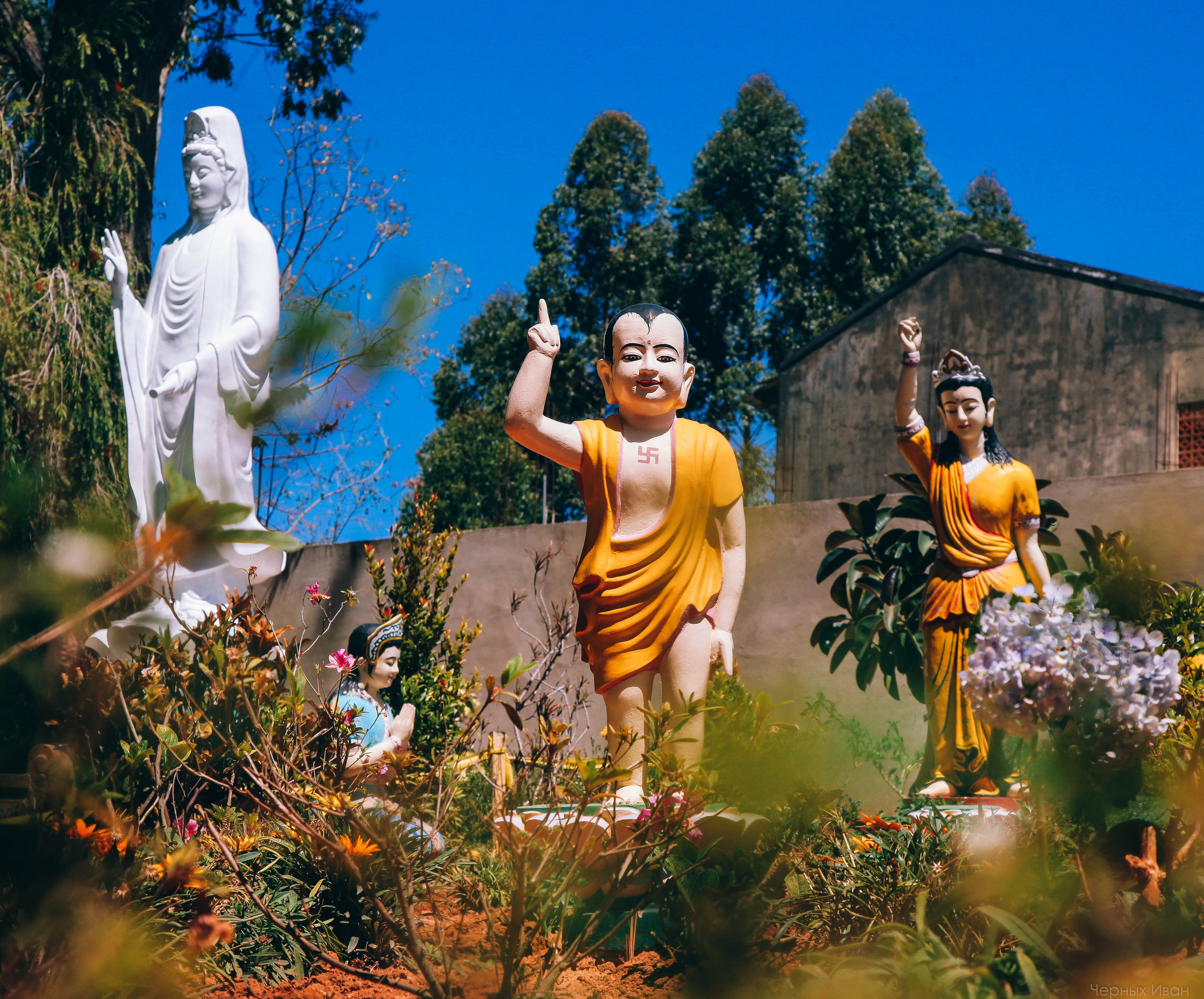 ВЬЕТНАМ. Стрит-фотография, полная абсурда, идиотизма и красоты