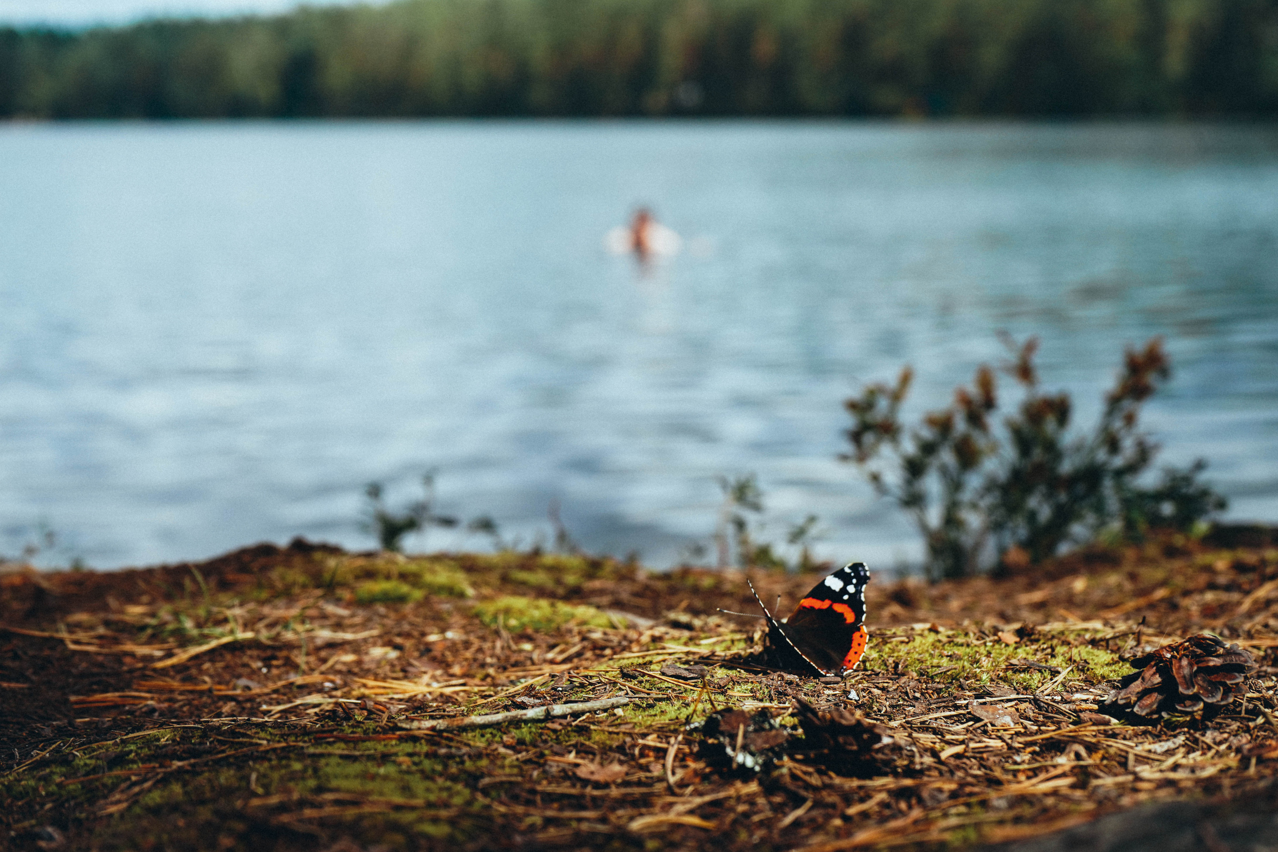 2018. Стрит-фотография, полная абсурда, идиотизма и красоты