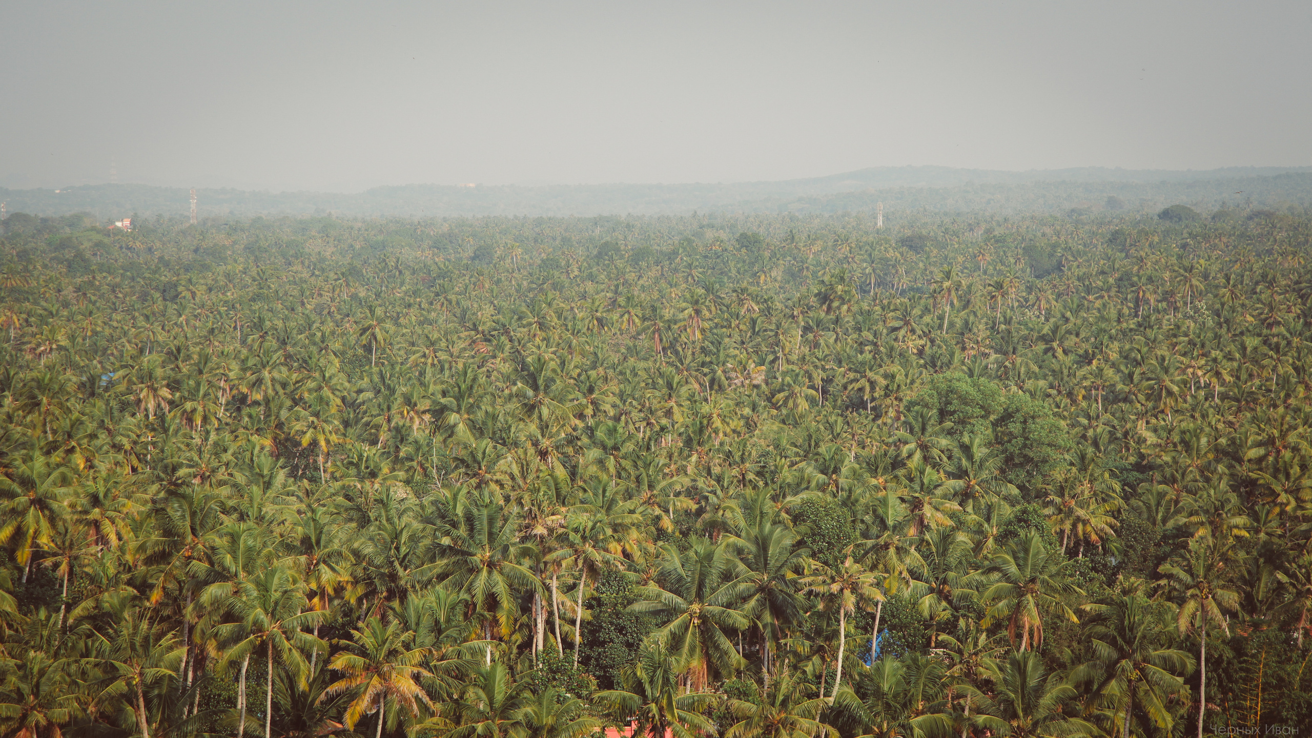 ПЕЙЗАЖИ. Стрит-фотография, полная абсурда, идиотизма и красоты
