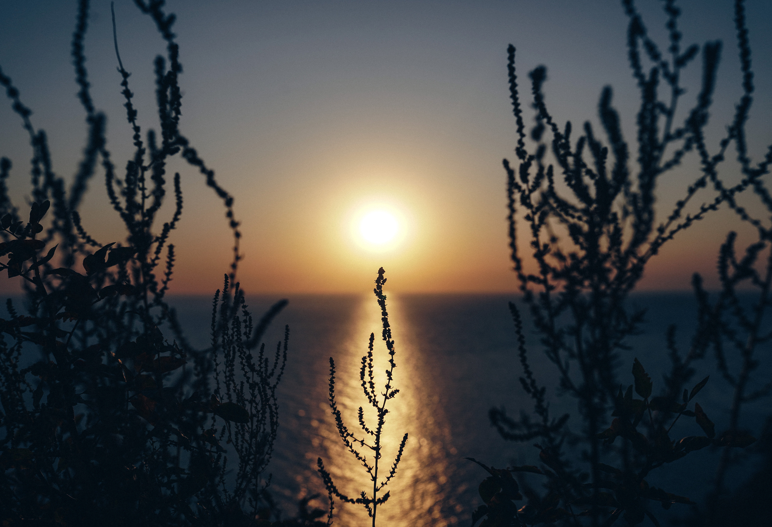 ПЕЙЗАЖИ. Стрит-фотография, полная абсурда, идиотизма и красоты