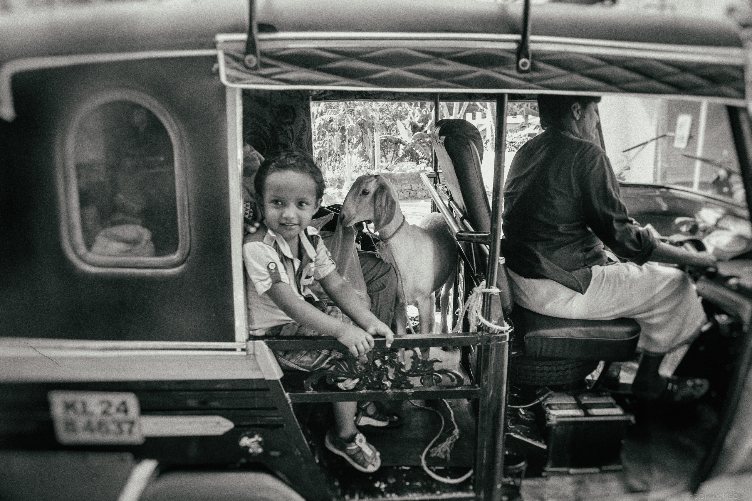 ИНДИЯ 2015. Стрит-фотография, полная абсурда, идиотизма и красоты