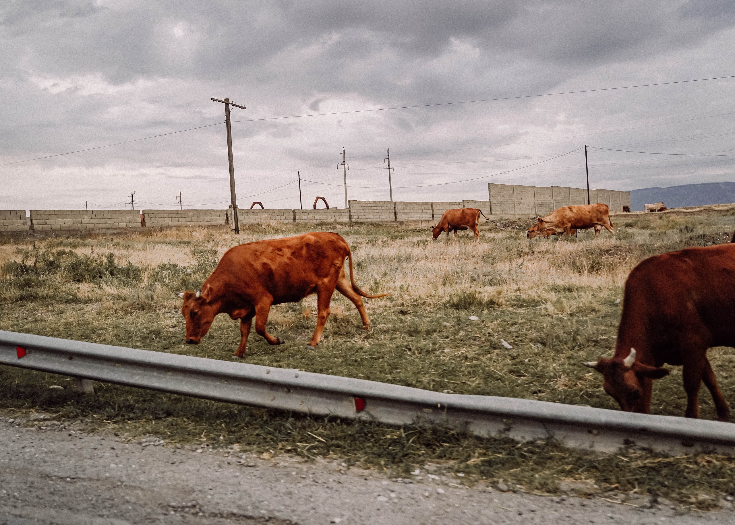 СЕВКАВ. Стрит-фотография, полная абсурда, идиотизма и красоты