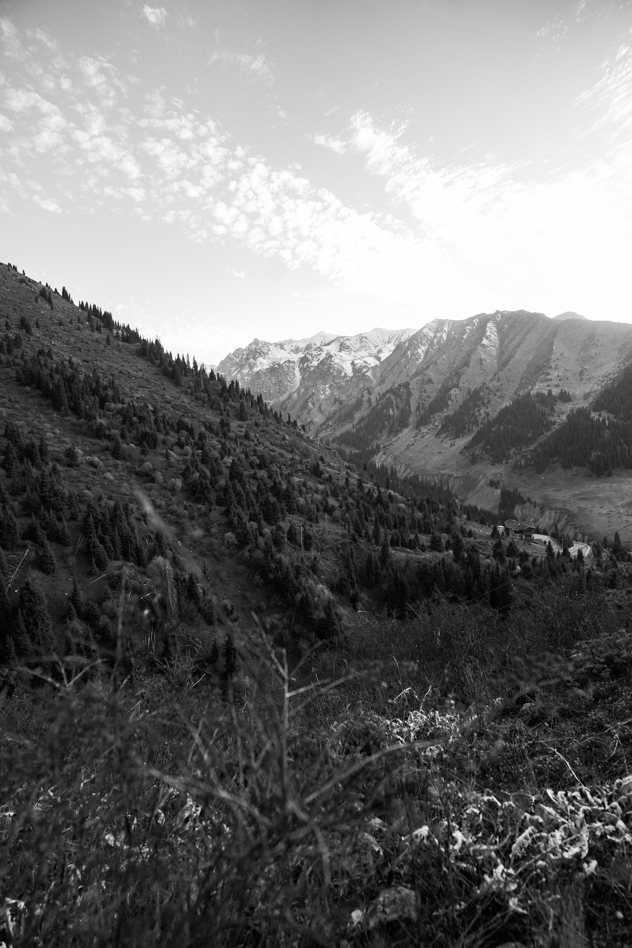 ПЕЙЗАЖИ. Стрит-фотография, полная абсурда, идиотизма и красоты