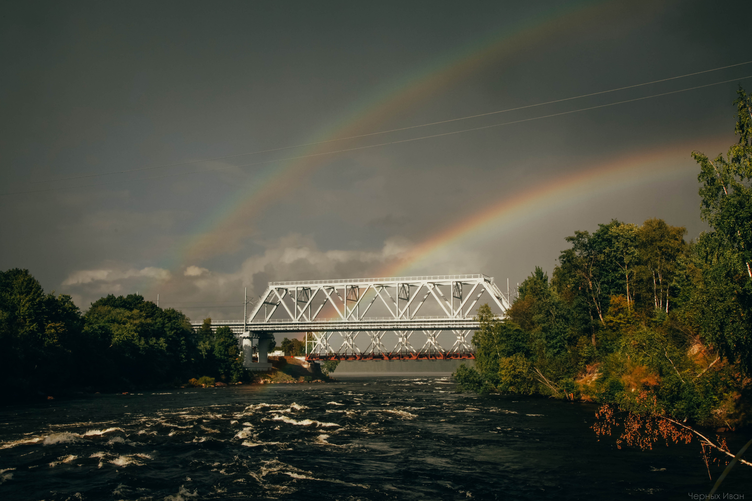 2015. Стрит-фотография, полная абсурда, идиотизма и красоты