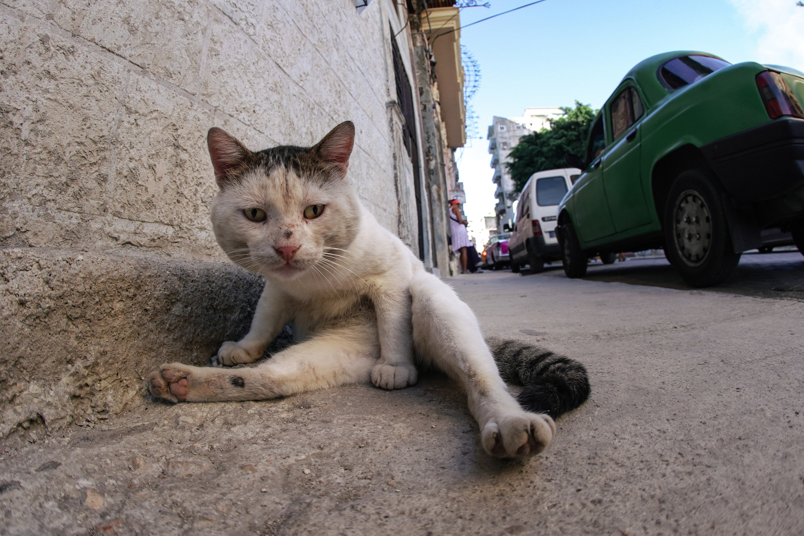 BEST OF. Стрит-фотография, полная абсурда, идиотизма и красоты