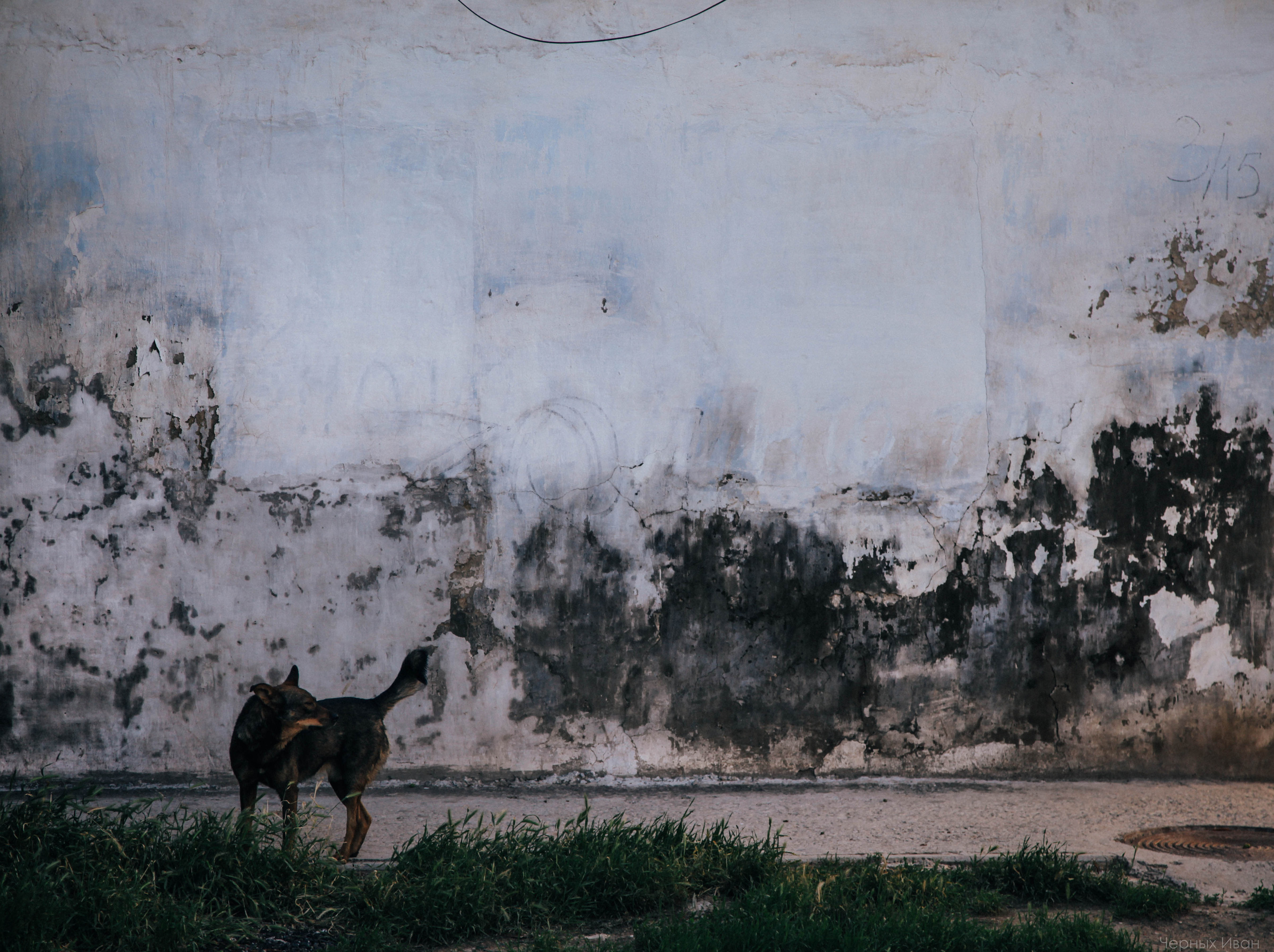 2015. Стрит-фотография, полная абсурда, идиотизма и красоты