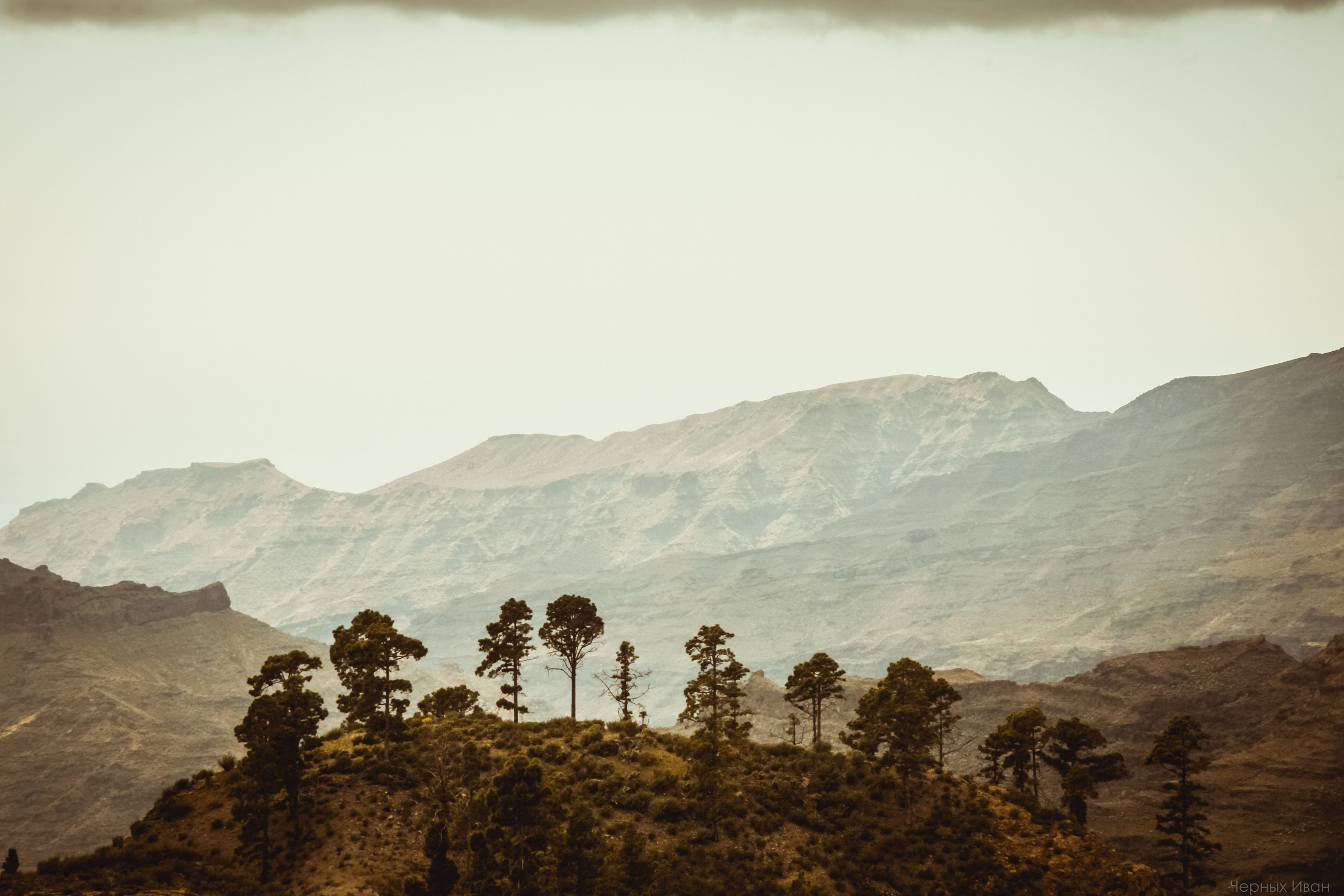 ПЕЙЗАЖИ. Стрит-фотография, полная абсурда, идиотизма и красоты