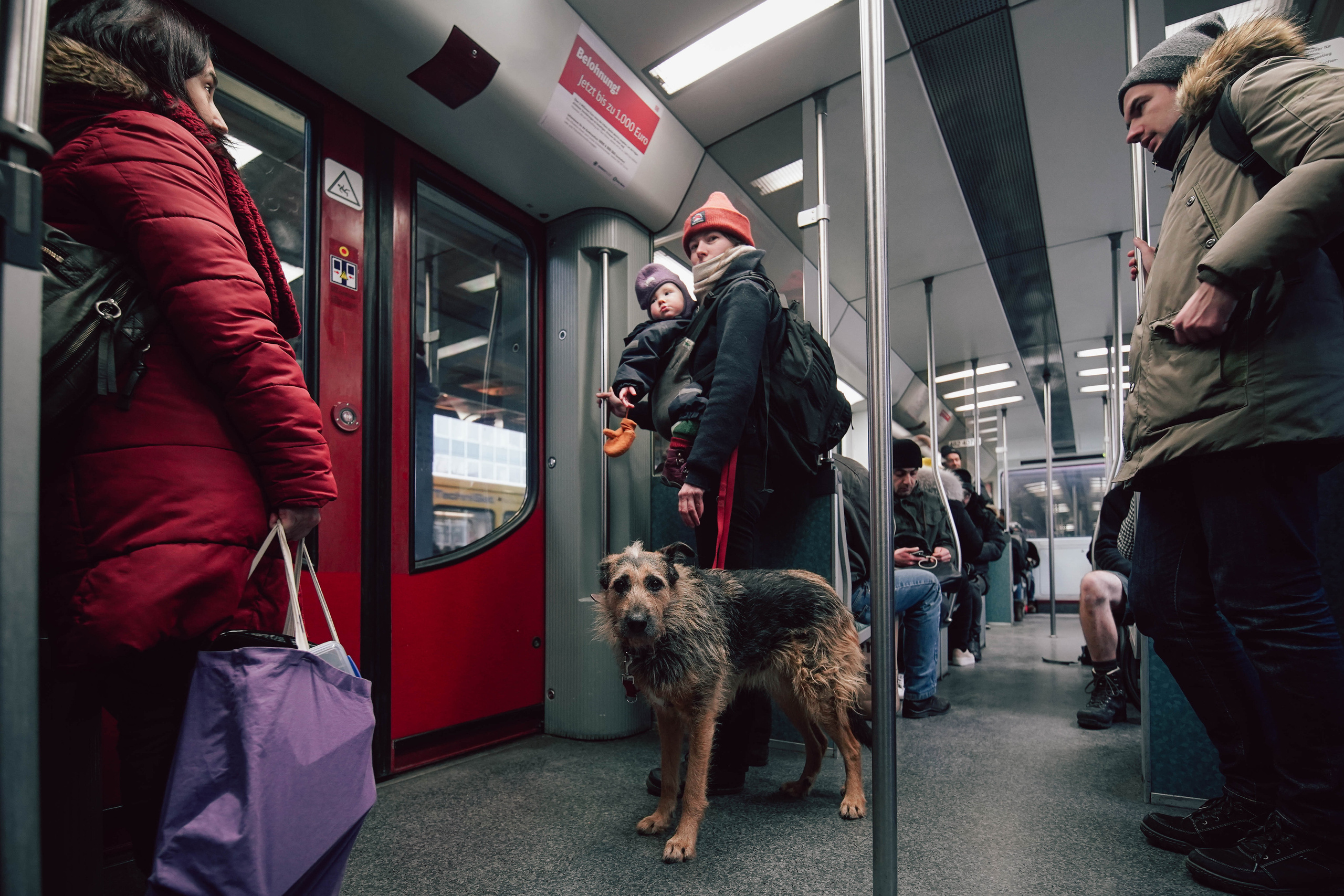 ГЕРМАНИЯ. Стрит-фотография, полная абсурда, идиотизма и красоты