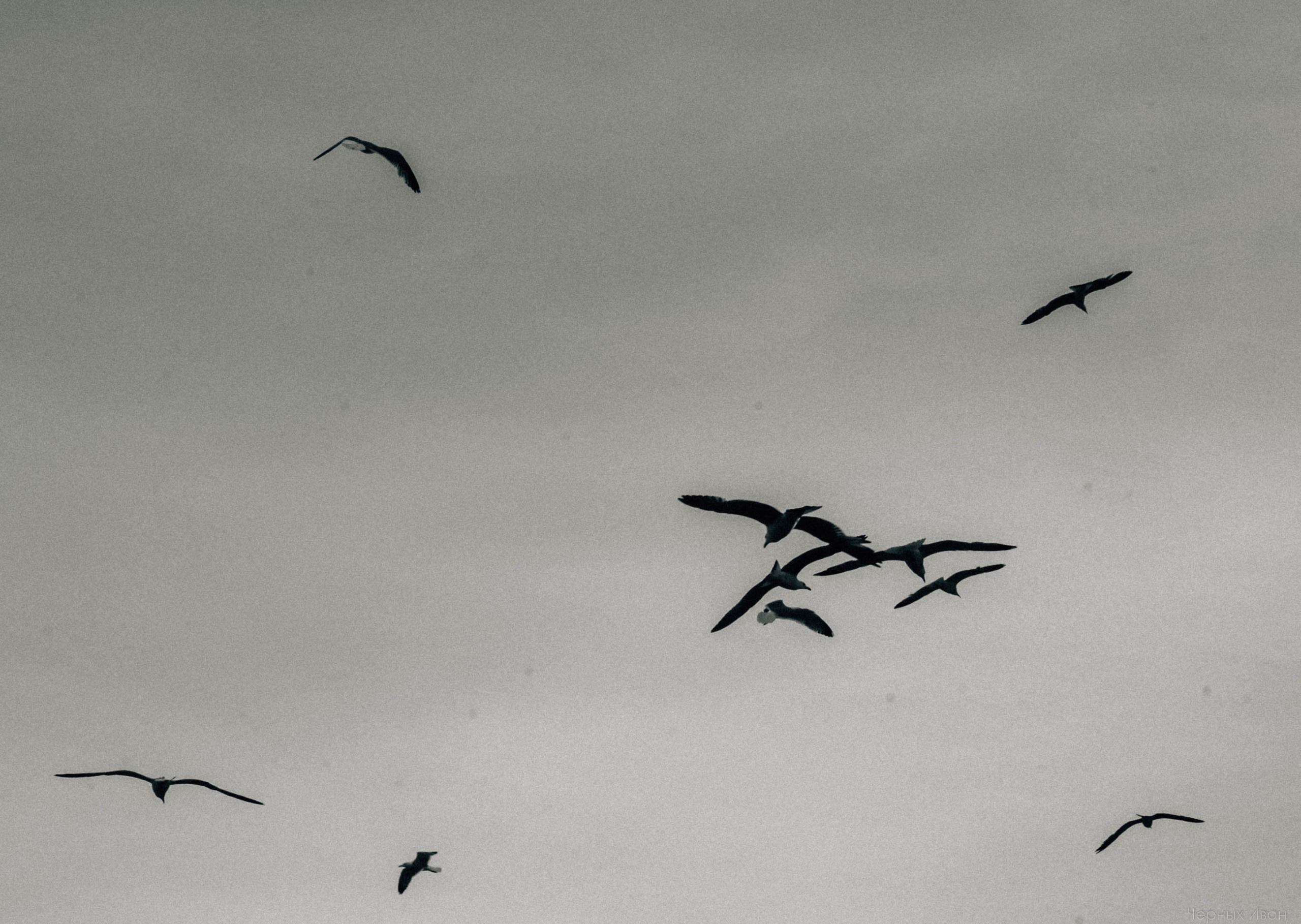 ФРАНЦИЯ. Стрит-фотография, полная абсурда, идиотизма и красоты