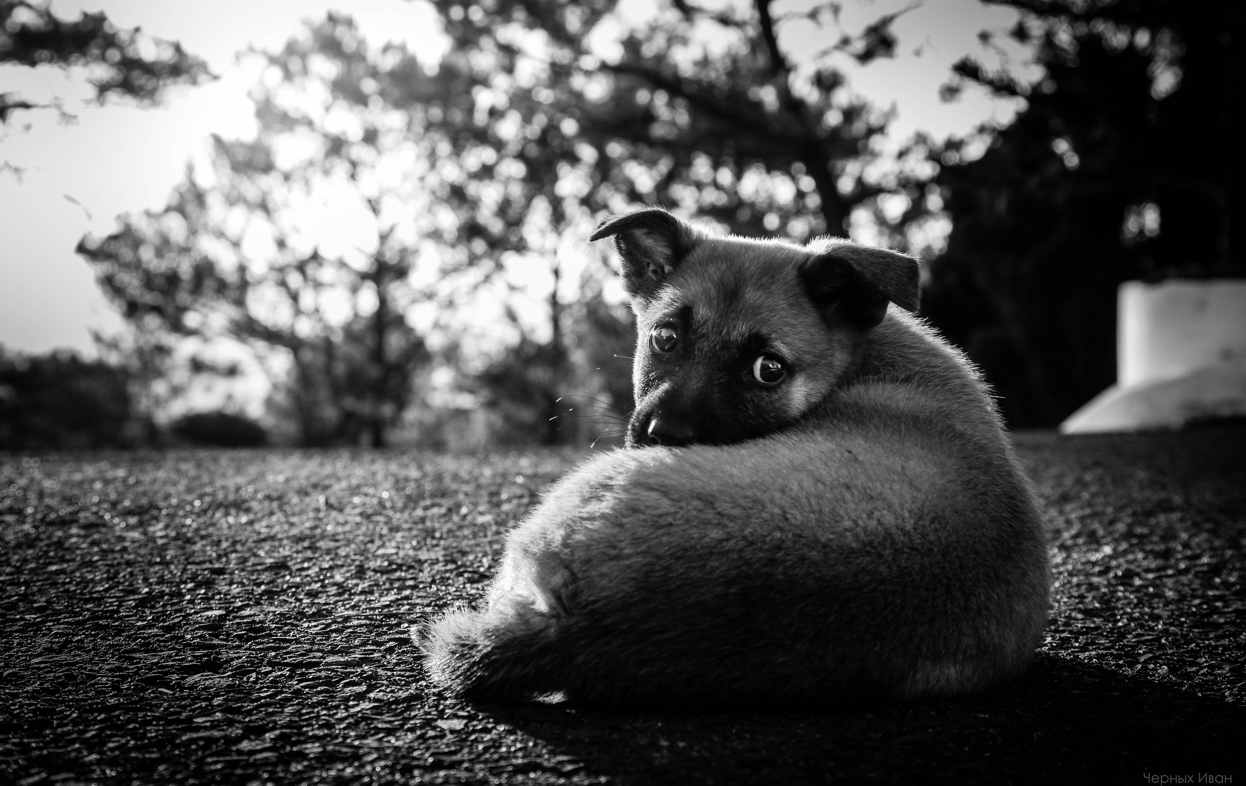 ВЬЕТНАМ. Стрит-фотография, полная абсурда, идиотизма и красоты