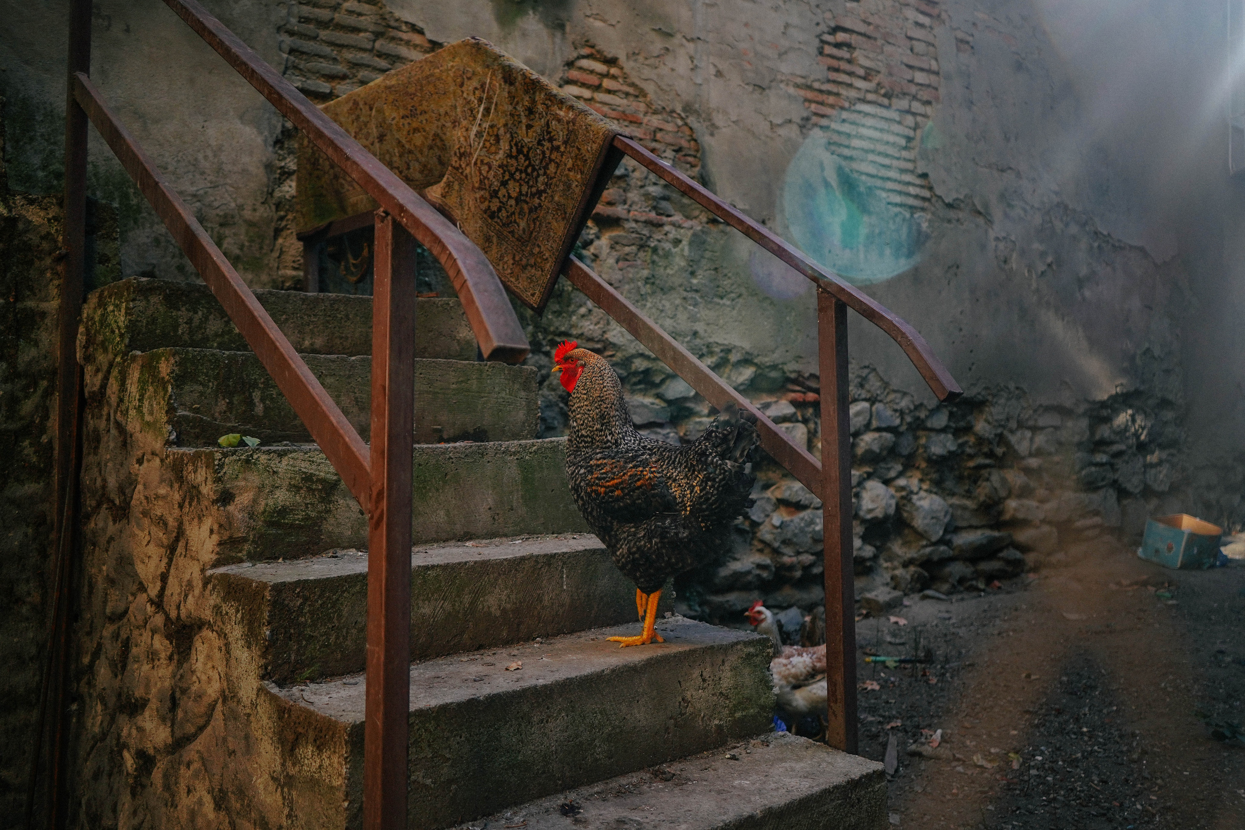 ГРУЗИЯ. Стрит-фотография, полная абсурда, идиотизма и красоты