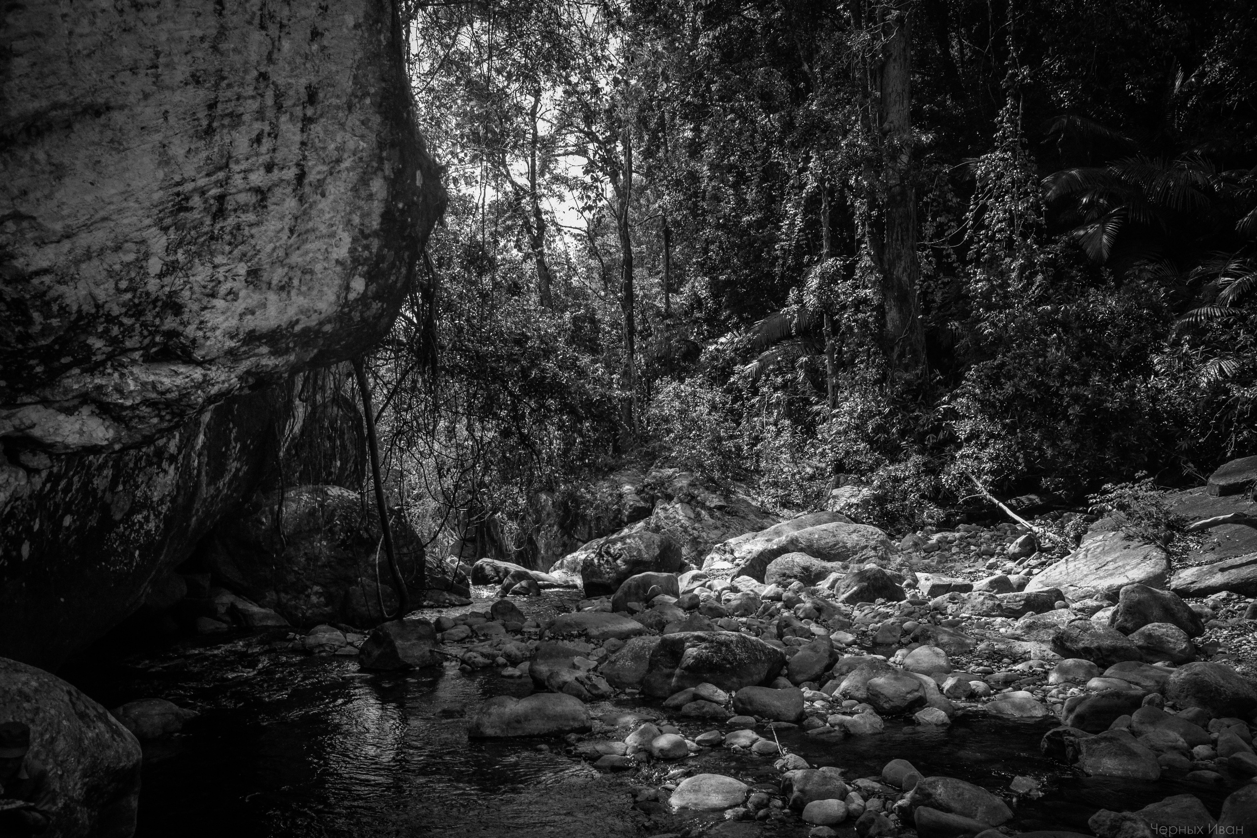 ИНДИЯ 2015. Стрит-фотография, полная абсурда, идиотизма и красоты