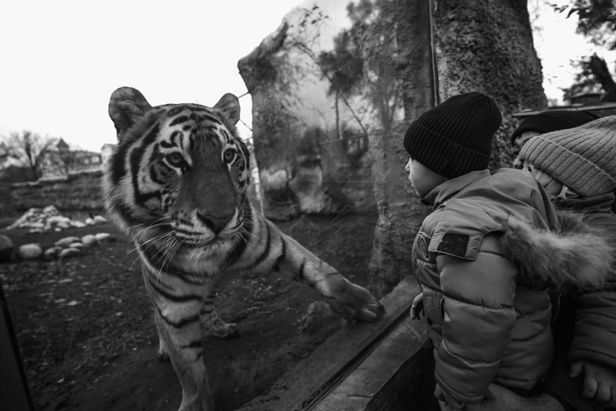 КАЗАХСТАН. Стрит-фотография, полная абсурда, идиотизма и красоты