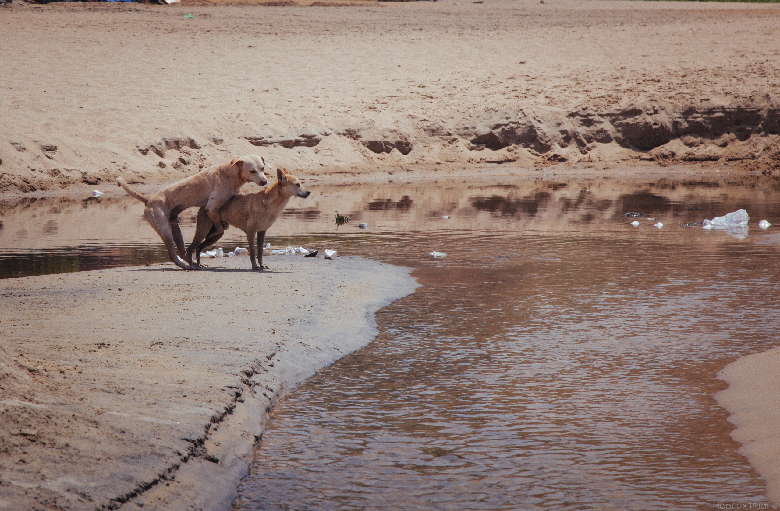 BEST OF. Стрит-фотография, полная абсурда, идиотизма и красоты