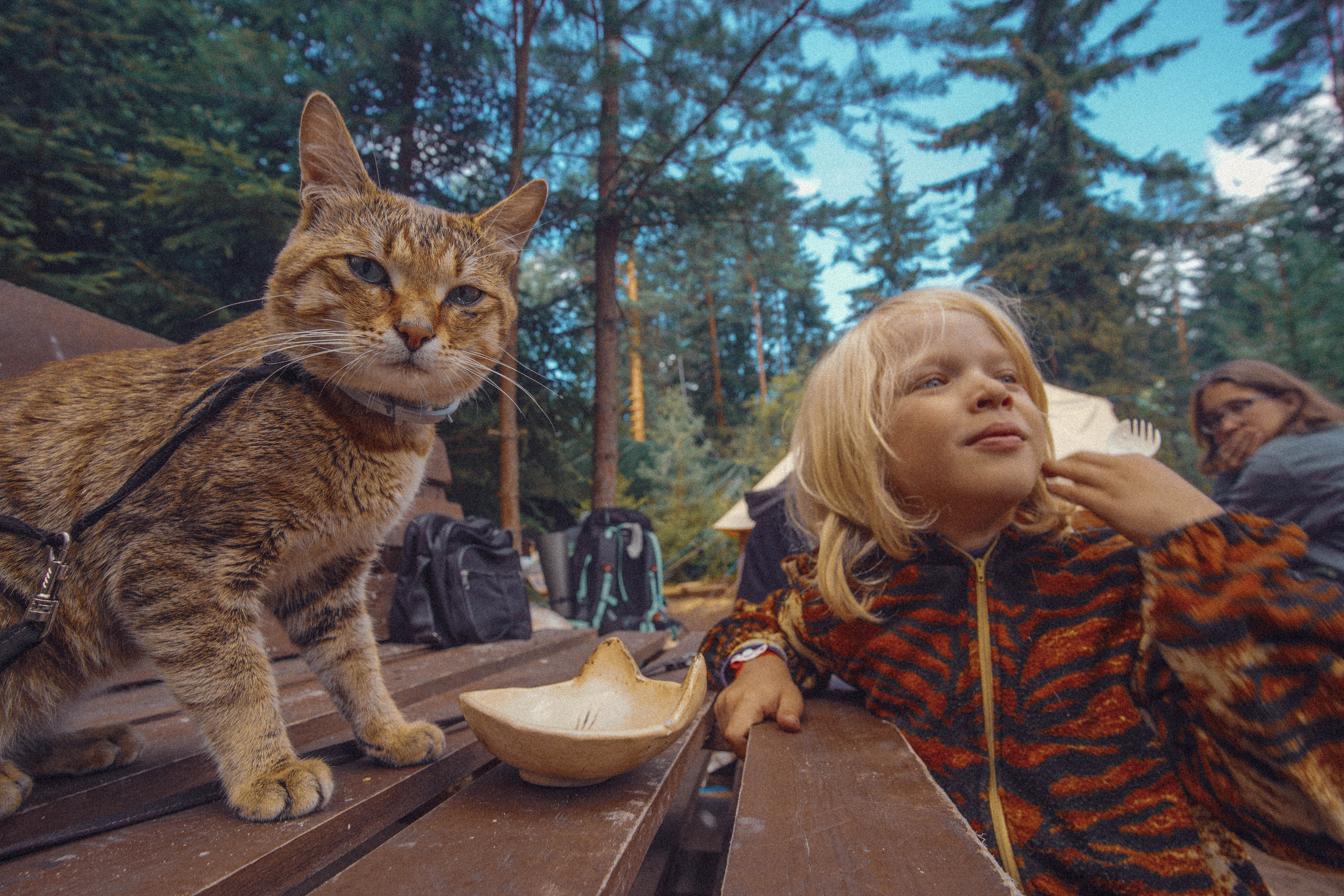 2022. Стрит-фотография, полная абсурда, идиотизма и красоты