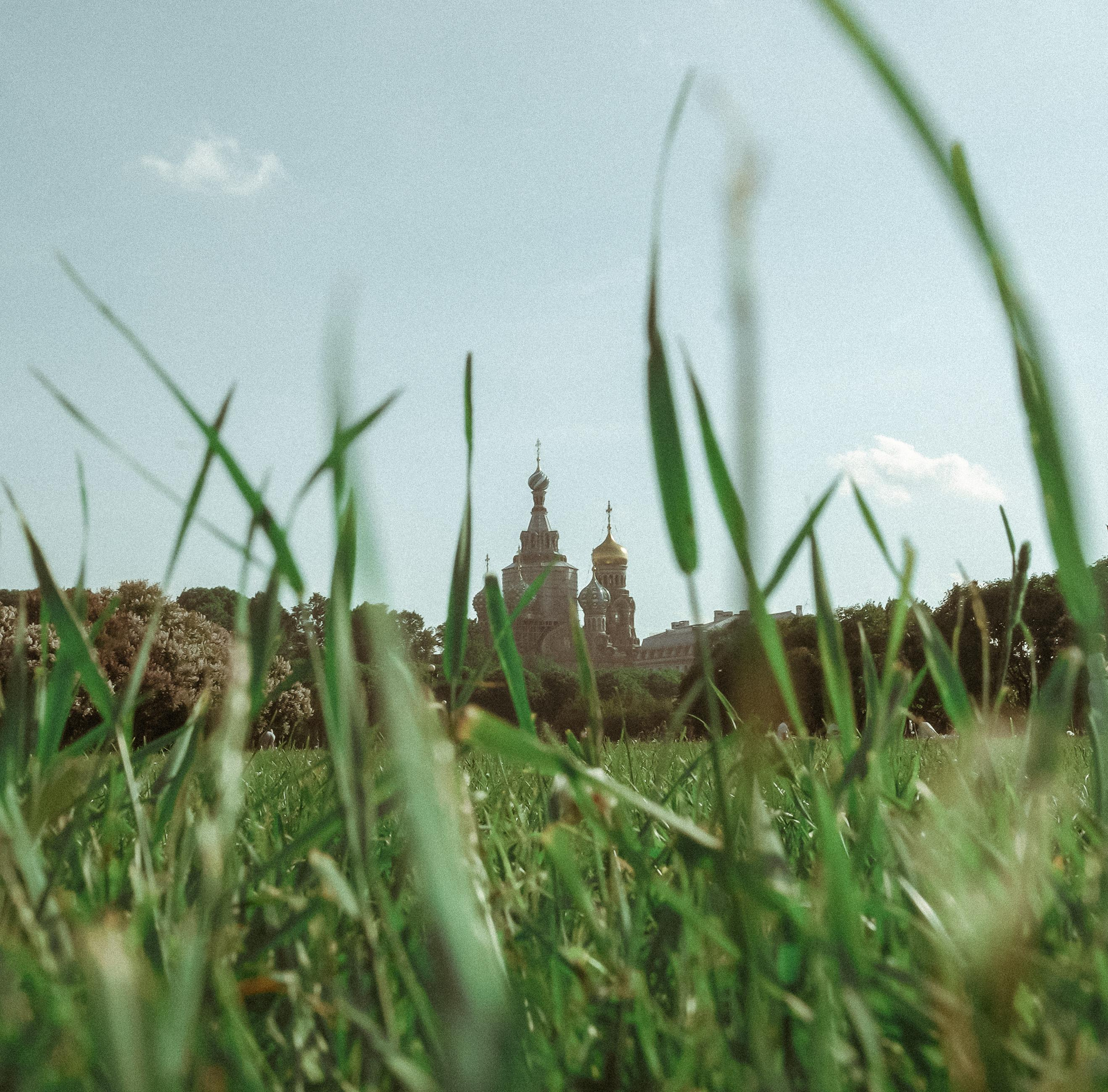 2021. Стрит-фотография, полная абсурда, идиотизма и красоты