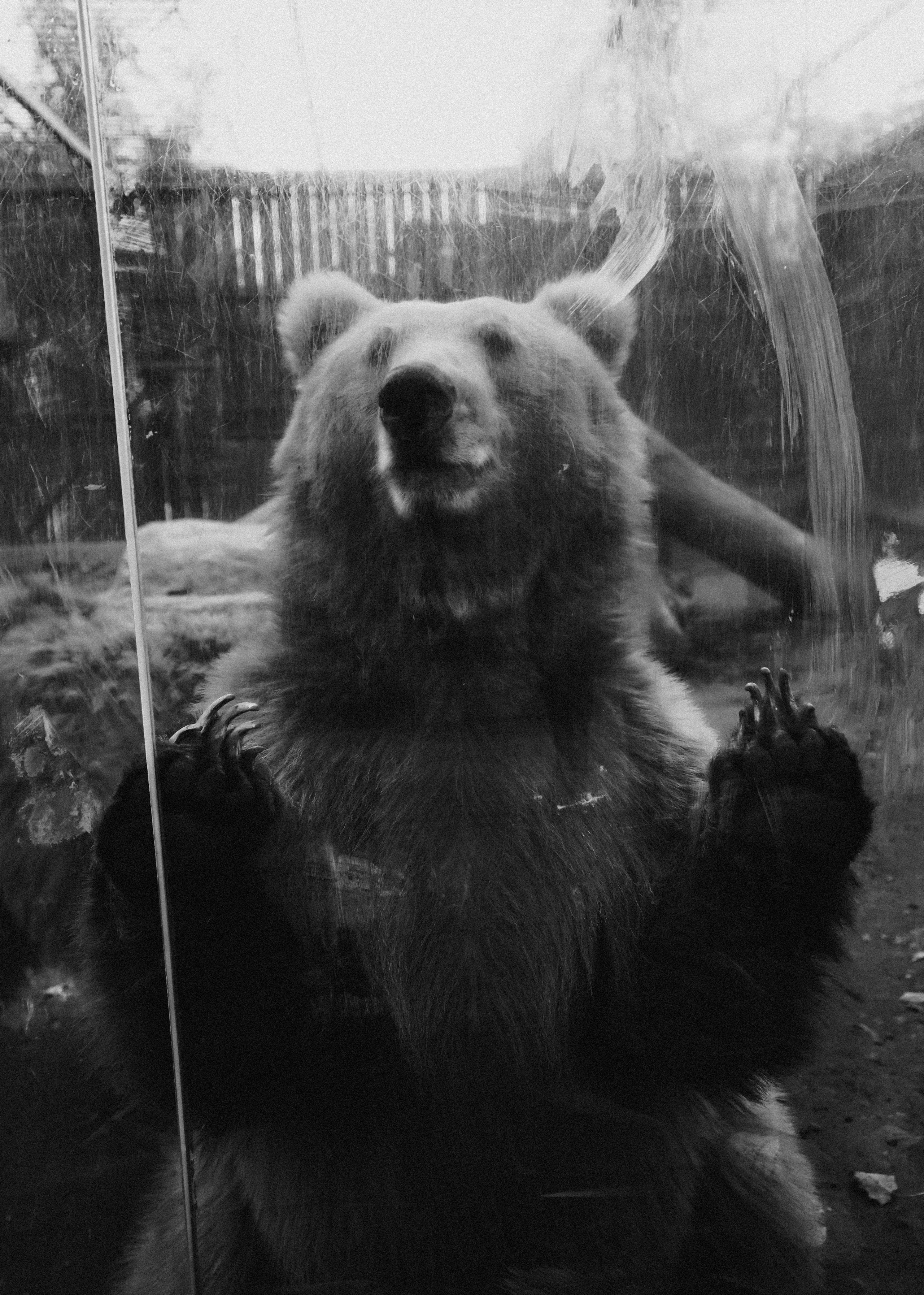 КАЗАХСТАН. Стрит-фотография, полная абсурда, идиотизма и красоты