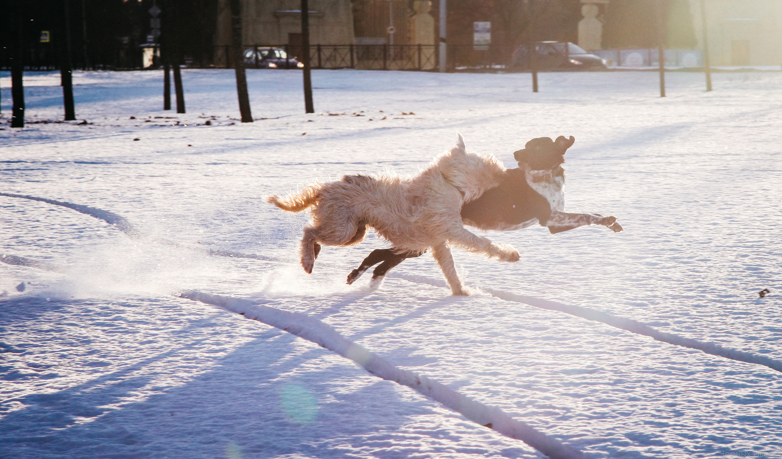 2017. Стрит-фотография, полная абсурда, идиотизма и красоты