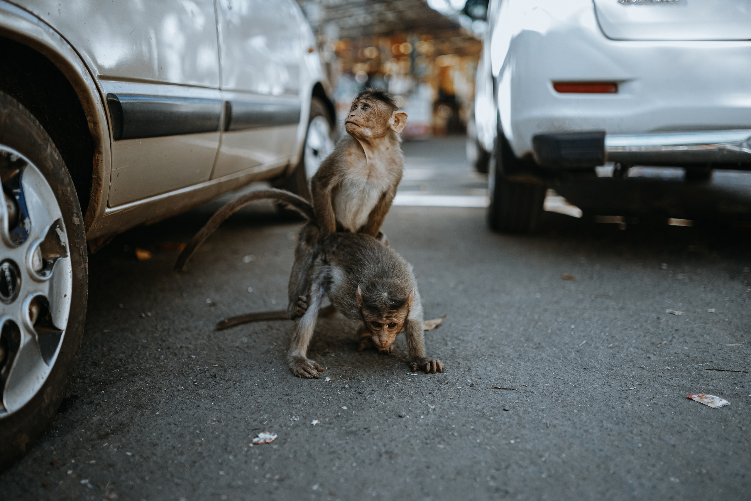 BEST OF. Стрит-фотография, полная абсурда, идиотизма и красоты