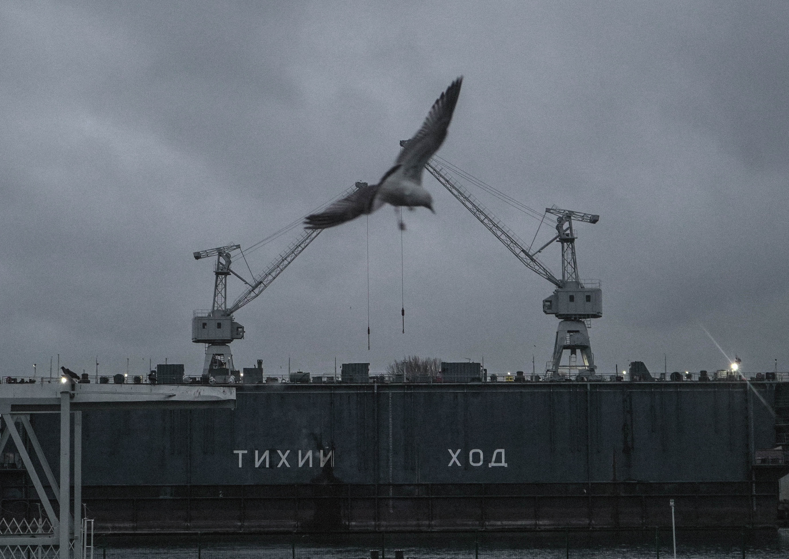 BEST OF. Стрит-фотография, полная абсурда, идиотизма и красоты