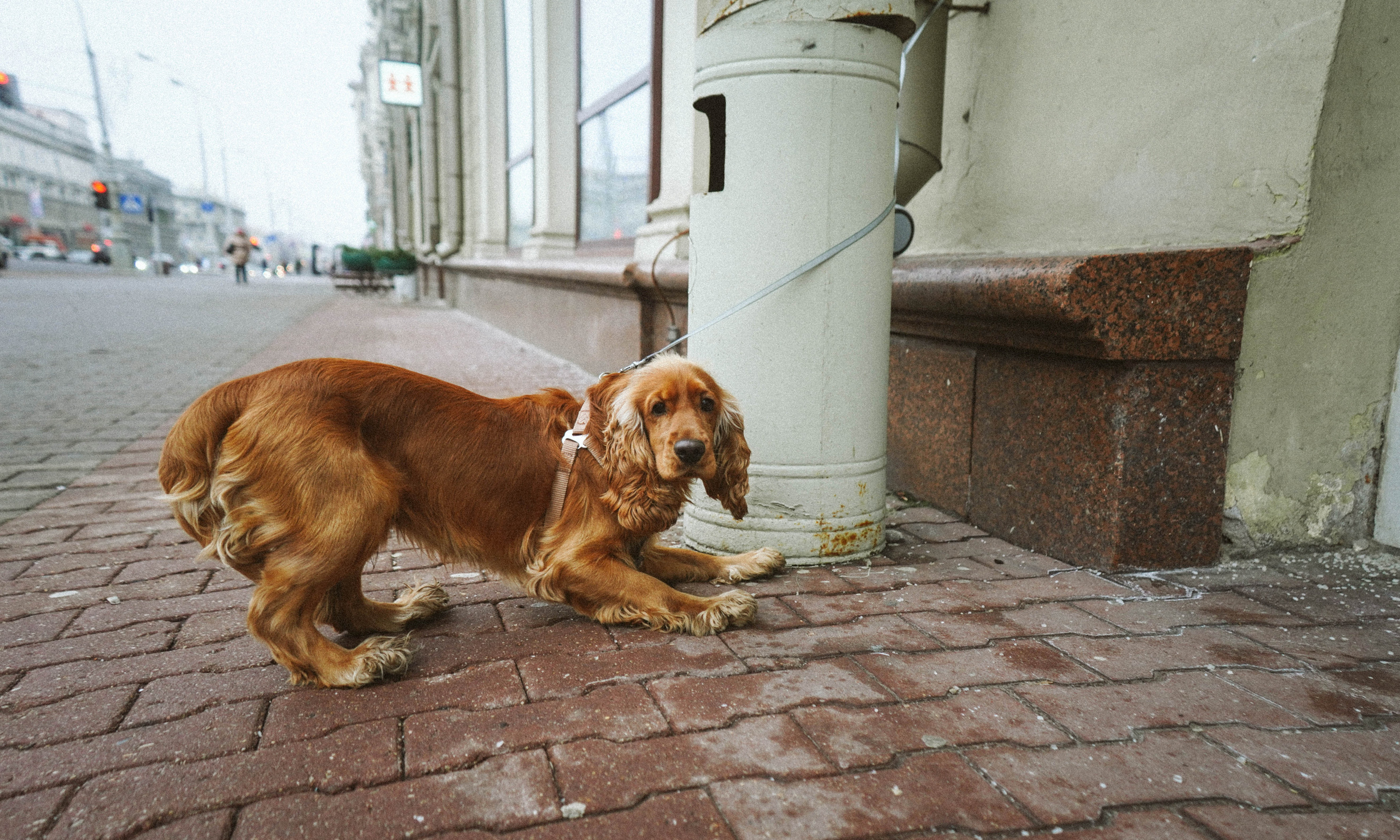 МИНСК. Стрит-фотография, полная абсурда, идиотизма и красоты